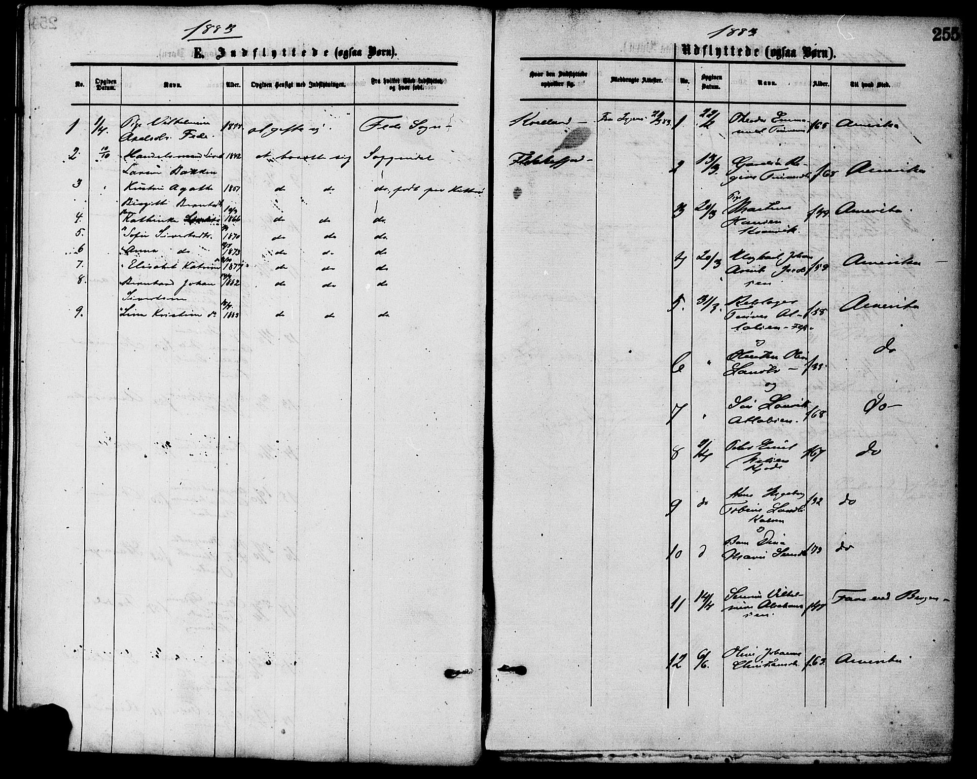 Flekkefjord sokneprestkontor, AV/SAK-1111-0012/F/Fa/Fac/L0007: Ministerialbok nr. A 7, 1875-1885, s. 255