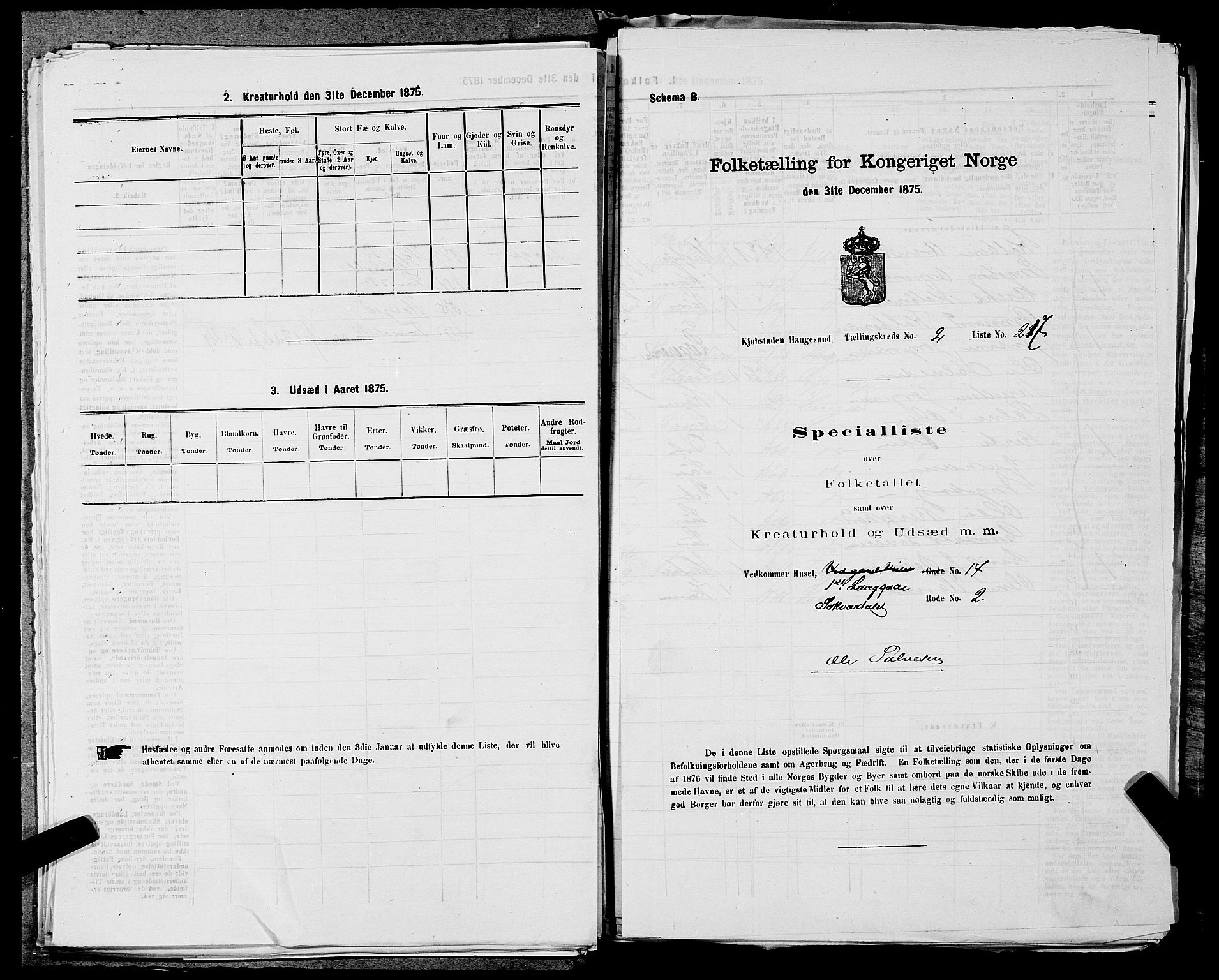 SAST, Folketelling 1875 for 1106B Torvastad prestegjeld, Haugesund kjøpstad, 1875, s. 505