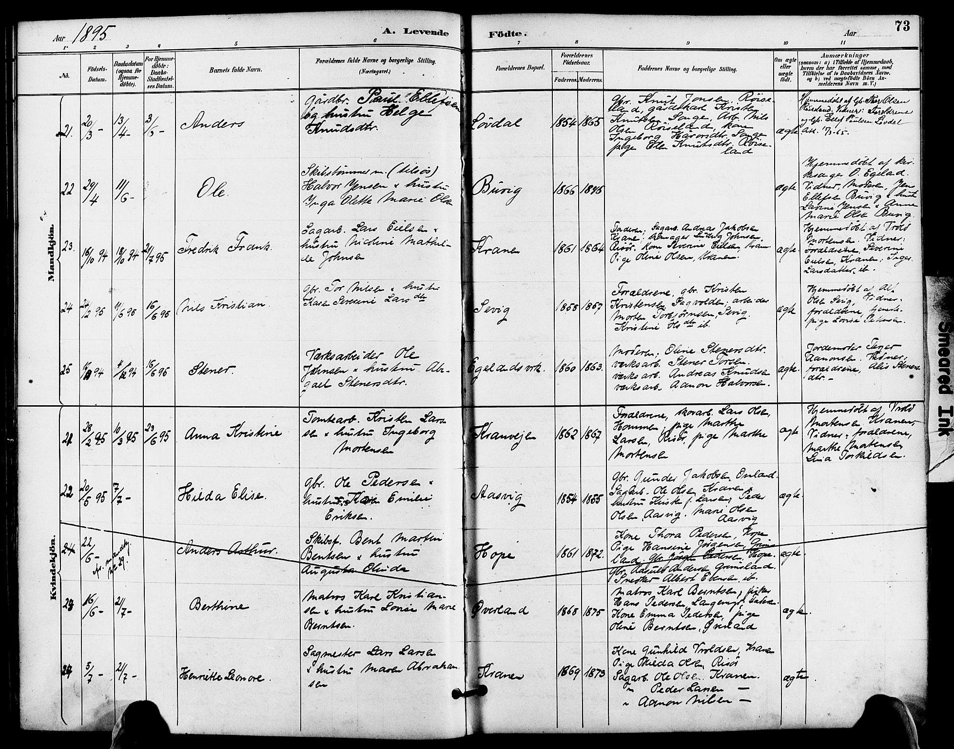 Søndeled sokneprestkontor, AV/SAK-1111-0038/F/Fa/L0005: Ministerialbok nr. A 5, 1889-1899, s. 73