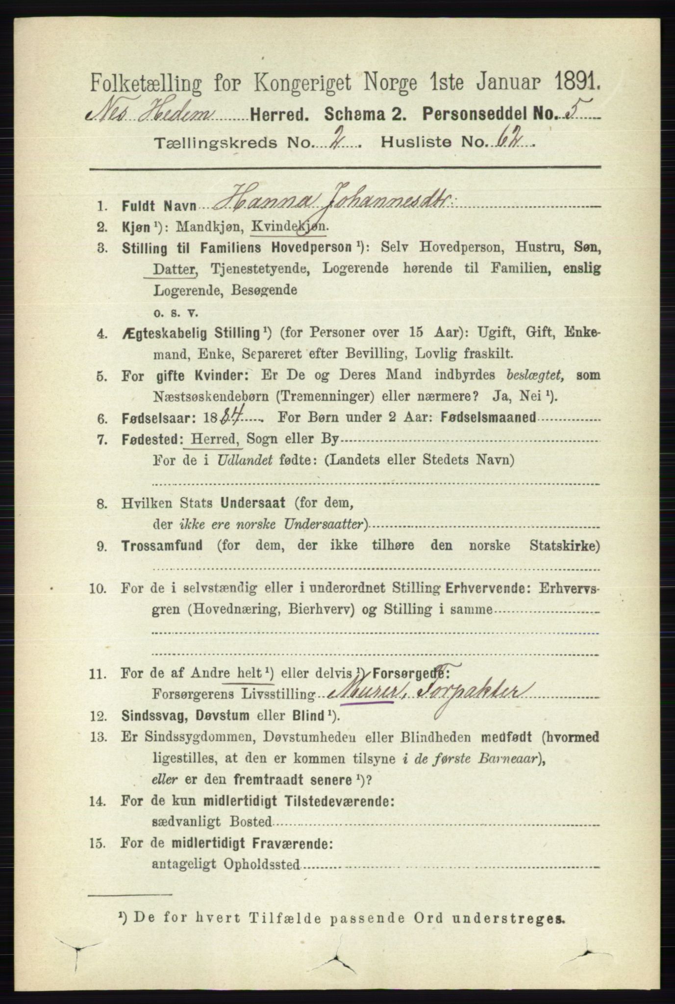 RA, Folketelling 1891 for 0411 Nes herred, 1891, s. 1503