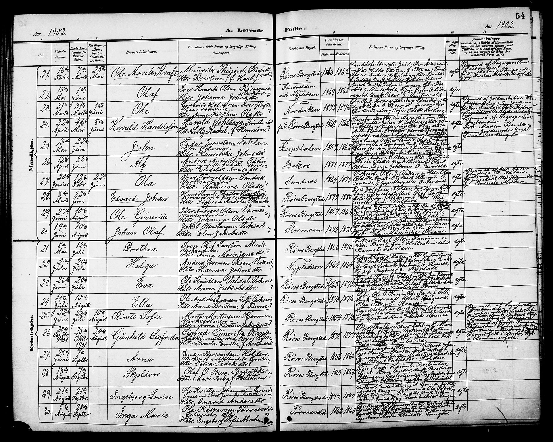 Ministerialprotokoller, klokkerbøker og fødselsregistre - Sør-Trøndelag, SAT/A-1456/681/L0941: Klokkerbok nr. 681C05, 1896-1905, s. 54