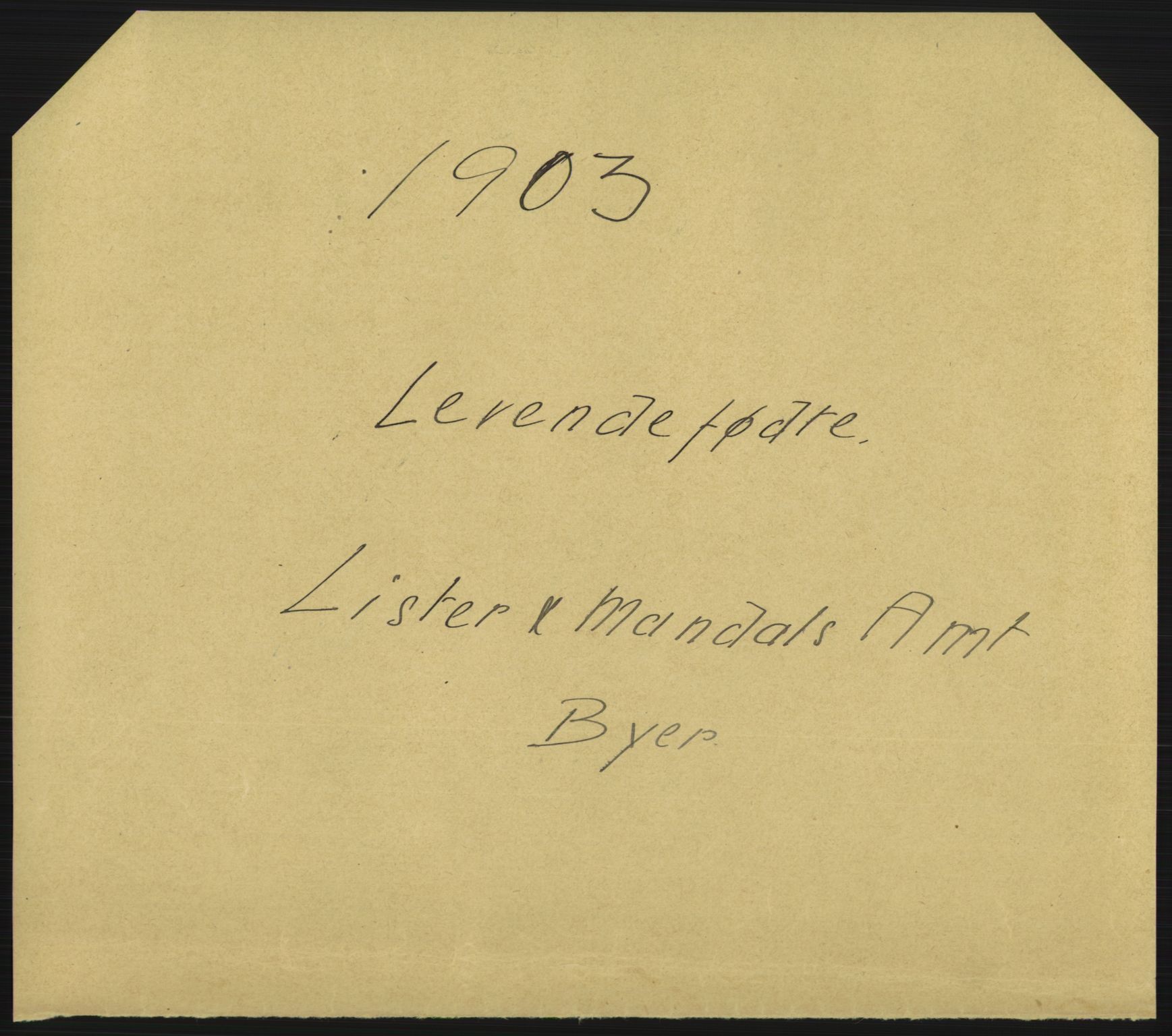 Statistisk sentralbyrå, Sosiodemografiske emner, Befolkning, AV/RA-S-2228/D/Df/Dfa/Dfaa/L0011: Lister og Mandal amt: Fødte, gifte, døde, 1903, s. 199