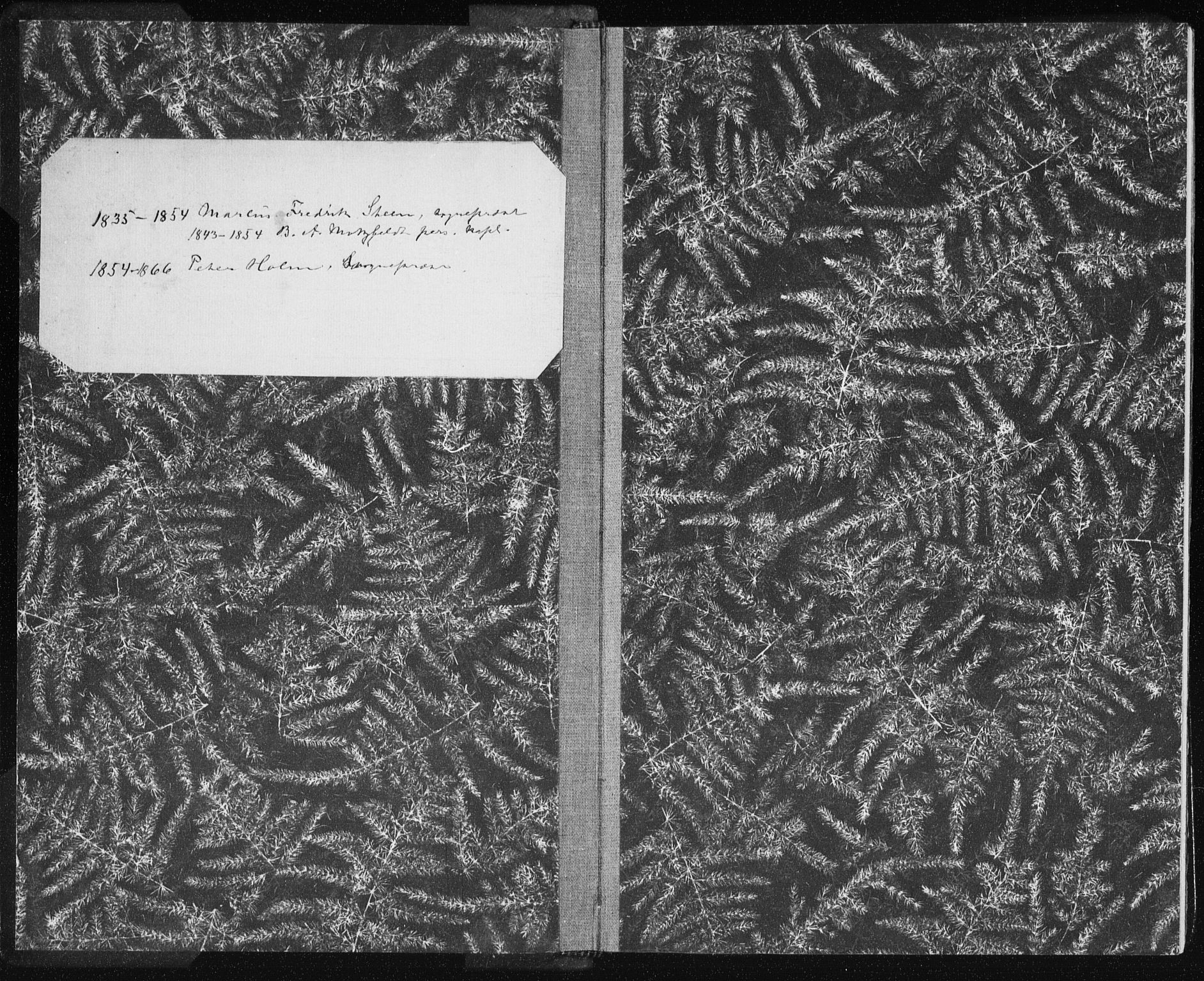 Ministerialprotokoller, klokkerbøker og fødselsregistre - Nordland, AV/SAT-A-1459/801/L0007: Ministerialbok nr. 801A07, 1845-1863