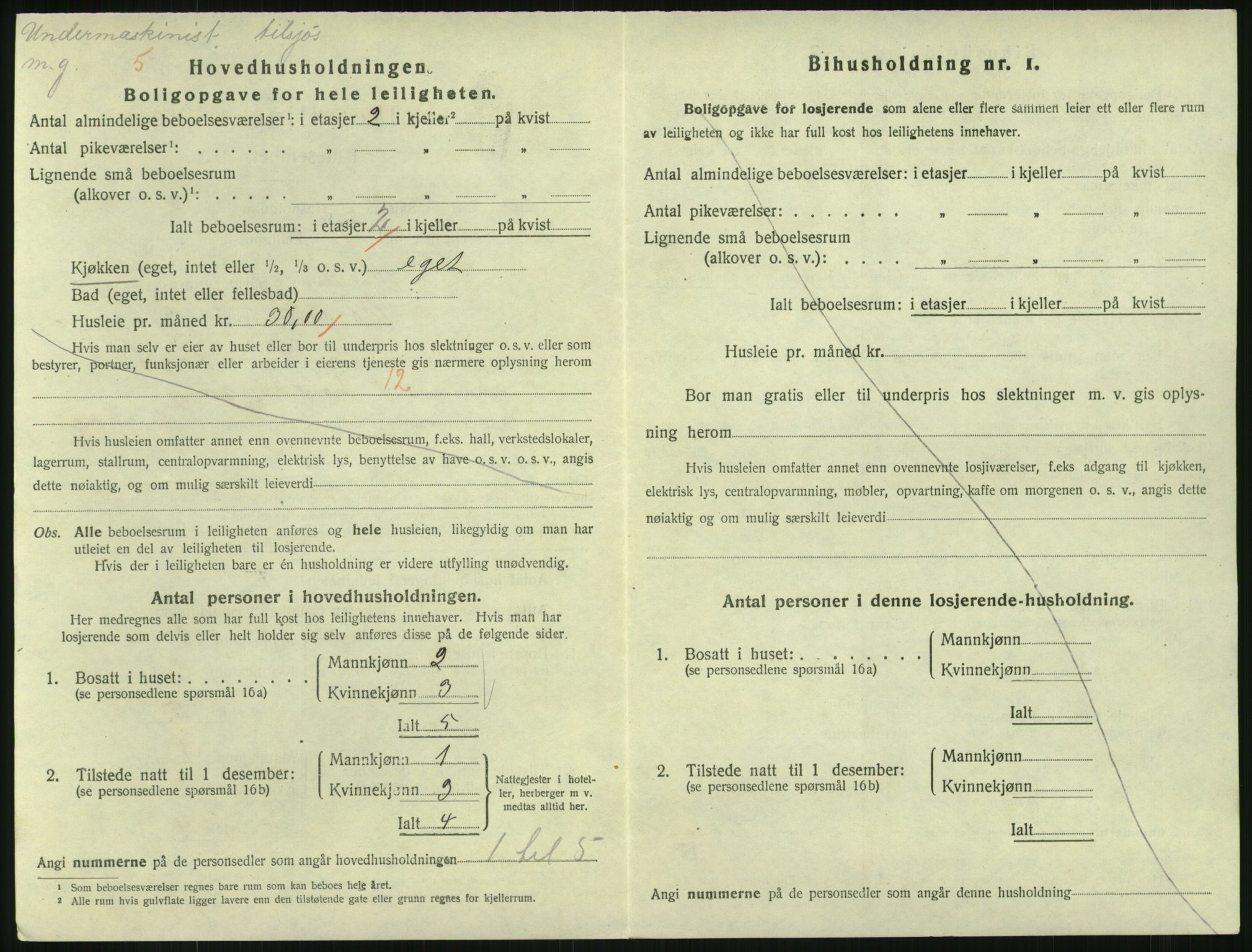 SAKO, Folketelling 1920 for 0703 Horten kjøpstad, 1920, s. 4872