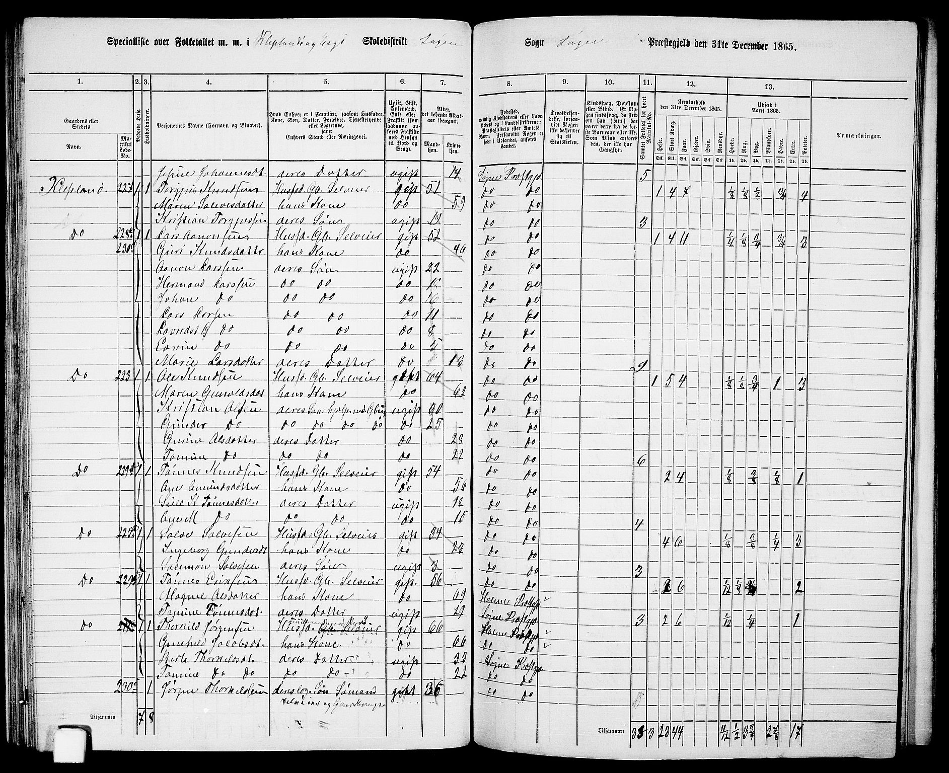 RA, Folketelling 1865 for 1018P Søgne prestegjeld, 1865, s. 69