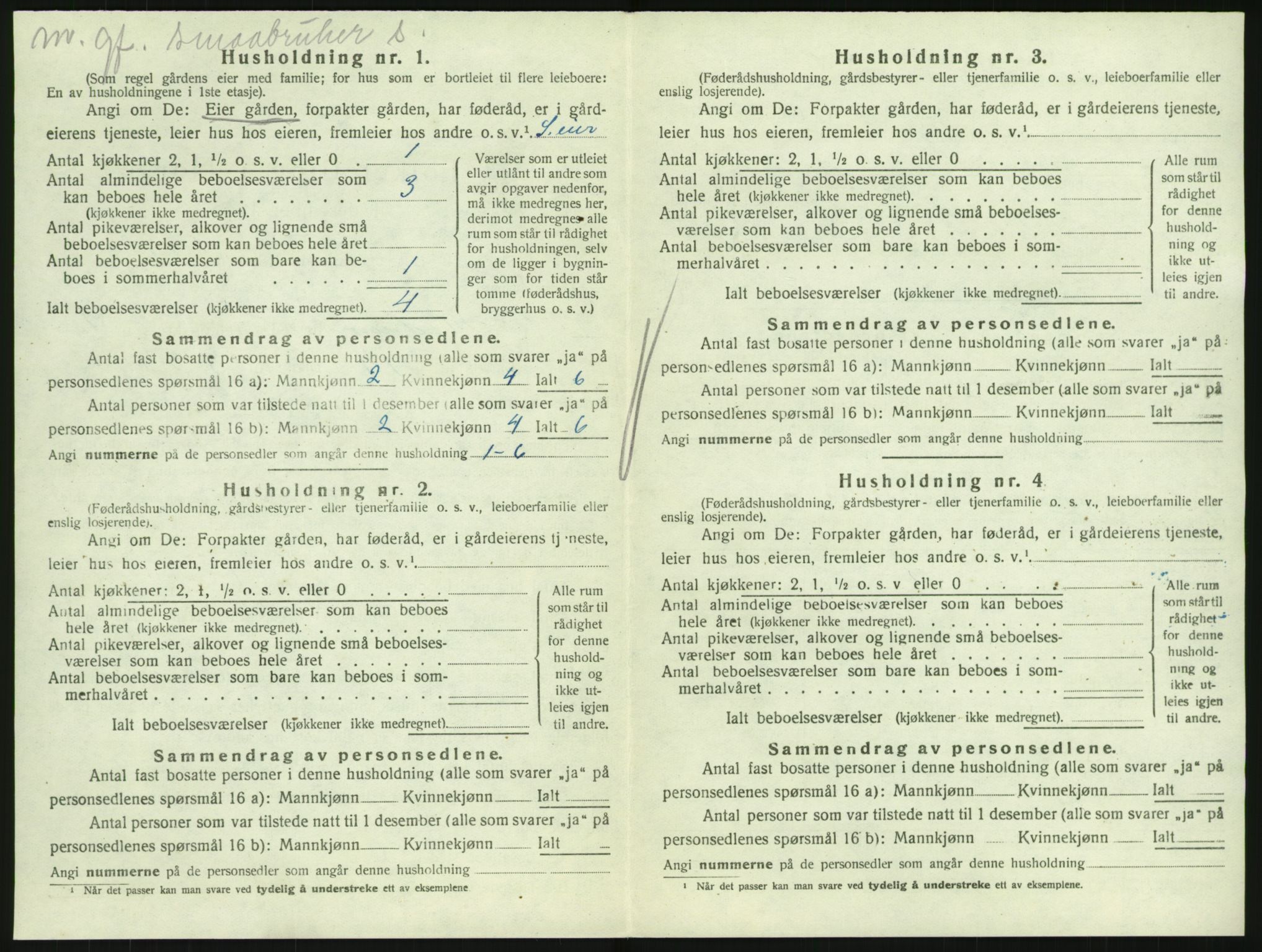 SAKO, Folketelling 1920 for 0727 Hedrum herred, 1920, s. 894