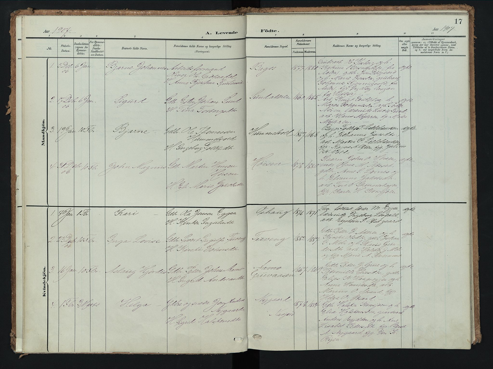 Tolga prestekontor, AV/SAH-PREST-062/K/L0009: Ministerialbok nr. 9, 1903-1928, s. 17