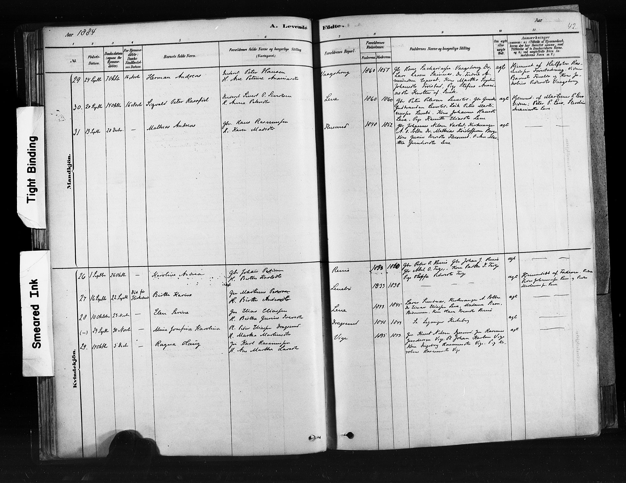 Ministerialprotokoller, klokkerbøker og fødselsregistre - Møre og Romsdal, AV/SAT-A-1454/507/L0073: Ministerialbok nr. 507A08, 1878-1904, s. 42