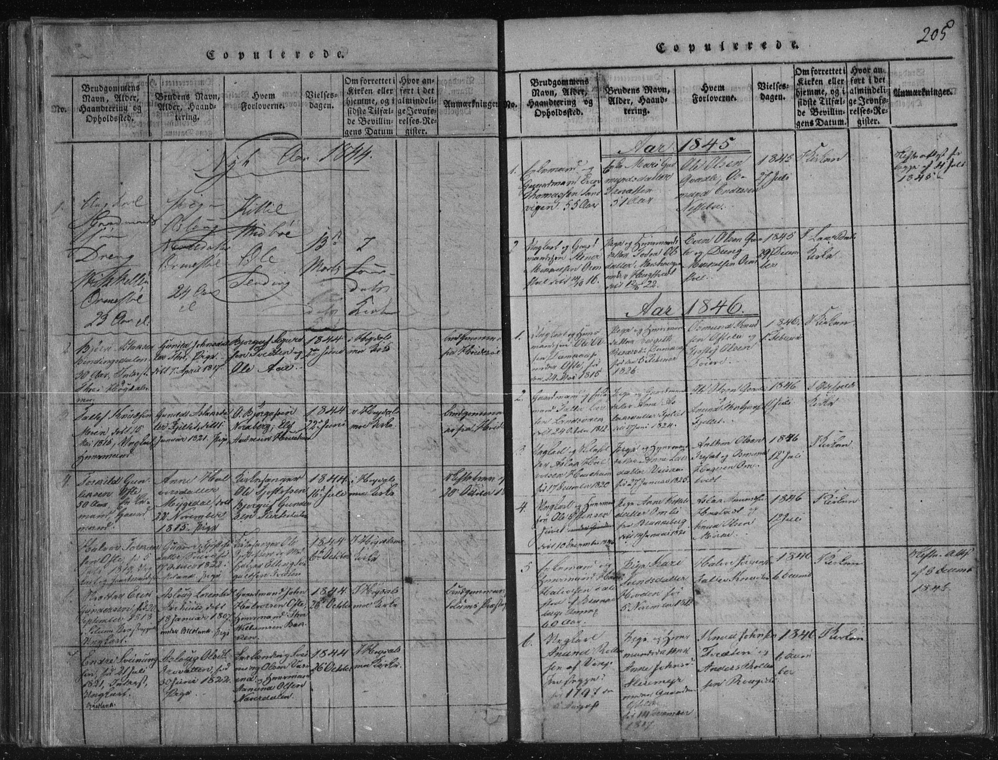 Lårdal kirkebøker, SAKO/A-284/F/Fc/L0001: Ministerialbok nr. III 1, 1815-1860, s. 205