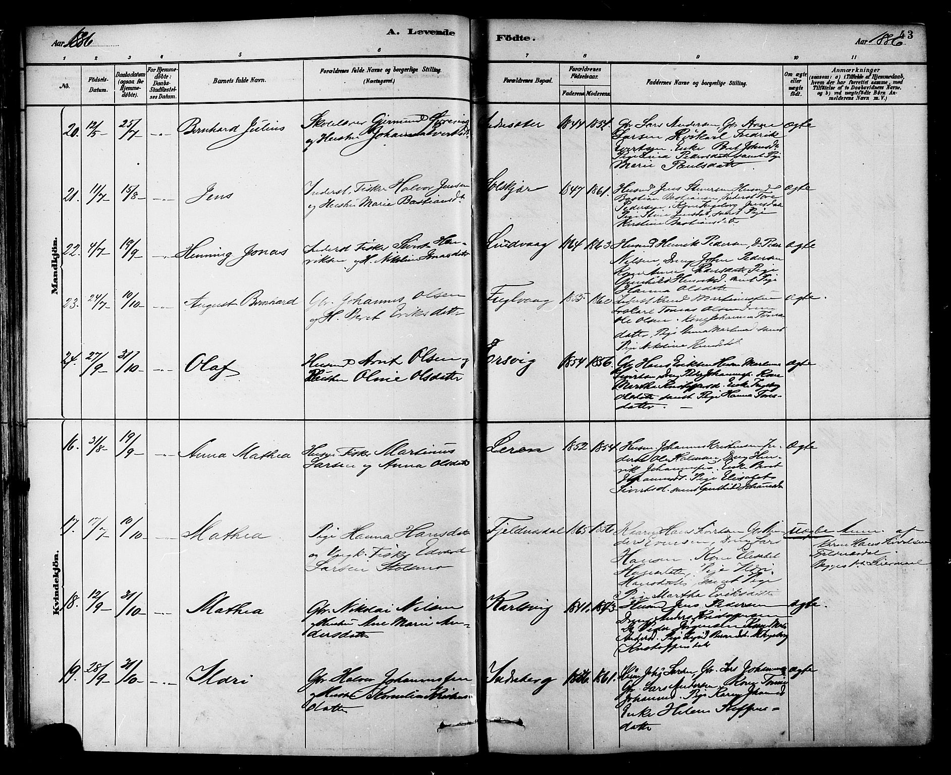 Ministerialprotokoller, klokkerbøker og fødselsregistre - Møre og Romsdal, AV/SAT-A-1454/577/L0896: Ministerialbok nr. 577A03, 1880-1898, s. 43