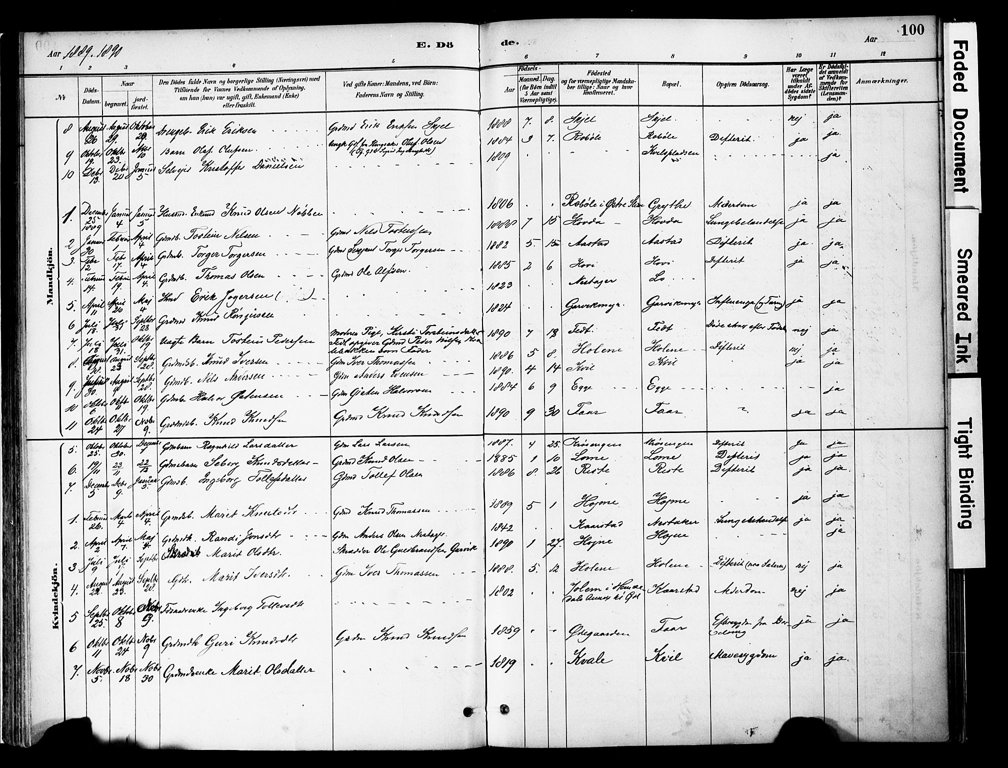 Vestre Slidre prestekontor, AV/SAH-PREST-136/H/Ha/Haa/L0005: Ministerialbok nr. 5, 1881-1912, s. 100