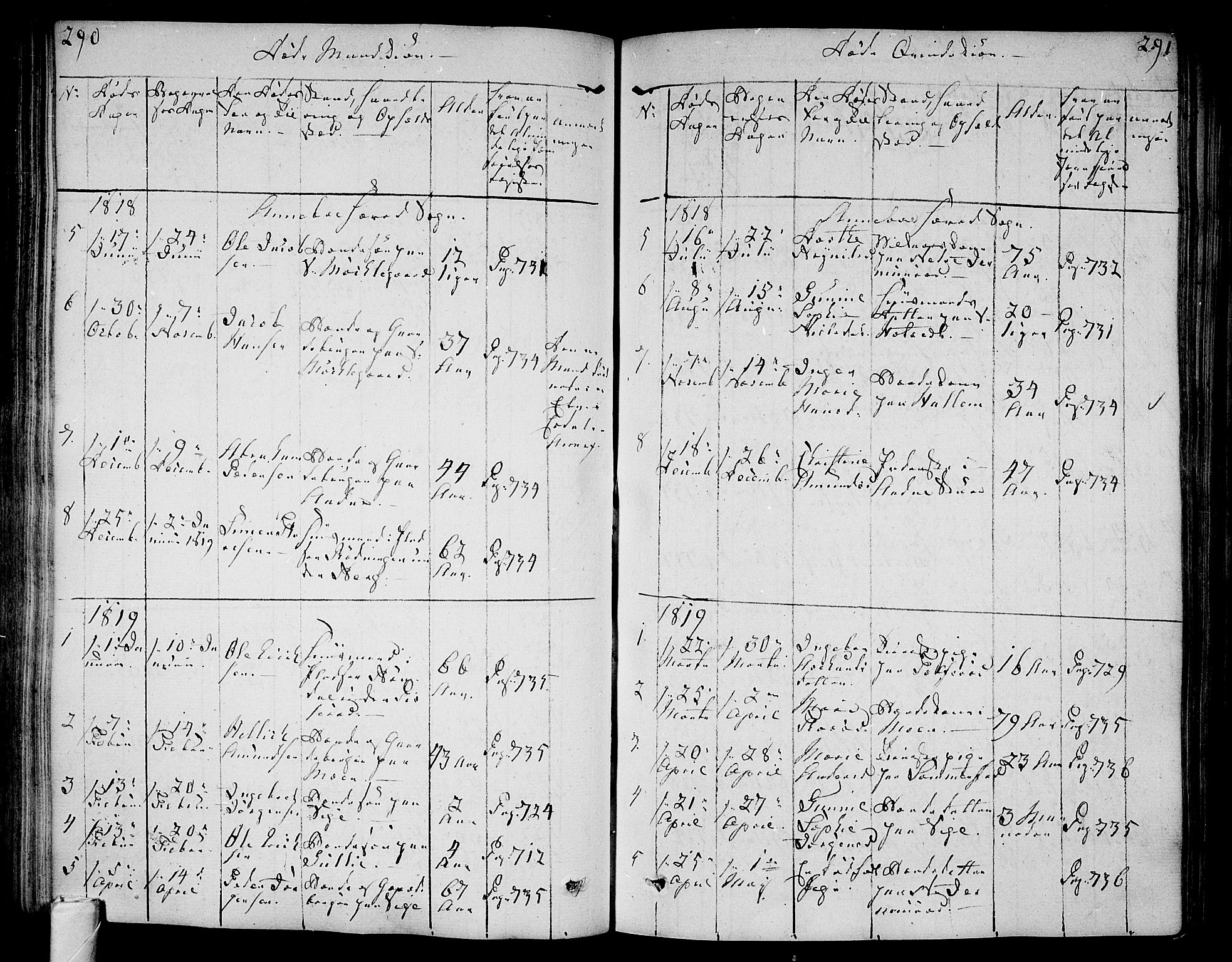Andebu kirkebøker, AV/SAKO-A-336/F/Fa/L0003: Ministerialbok nr. I 3 /1, 1803-1828, s. 290-291