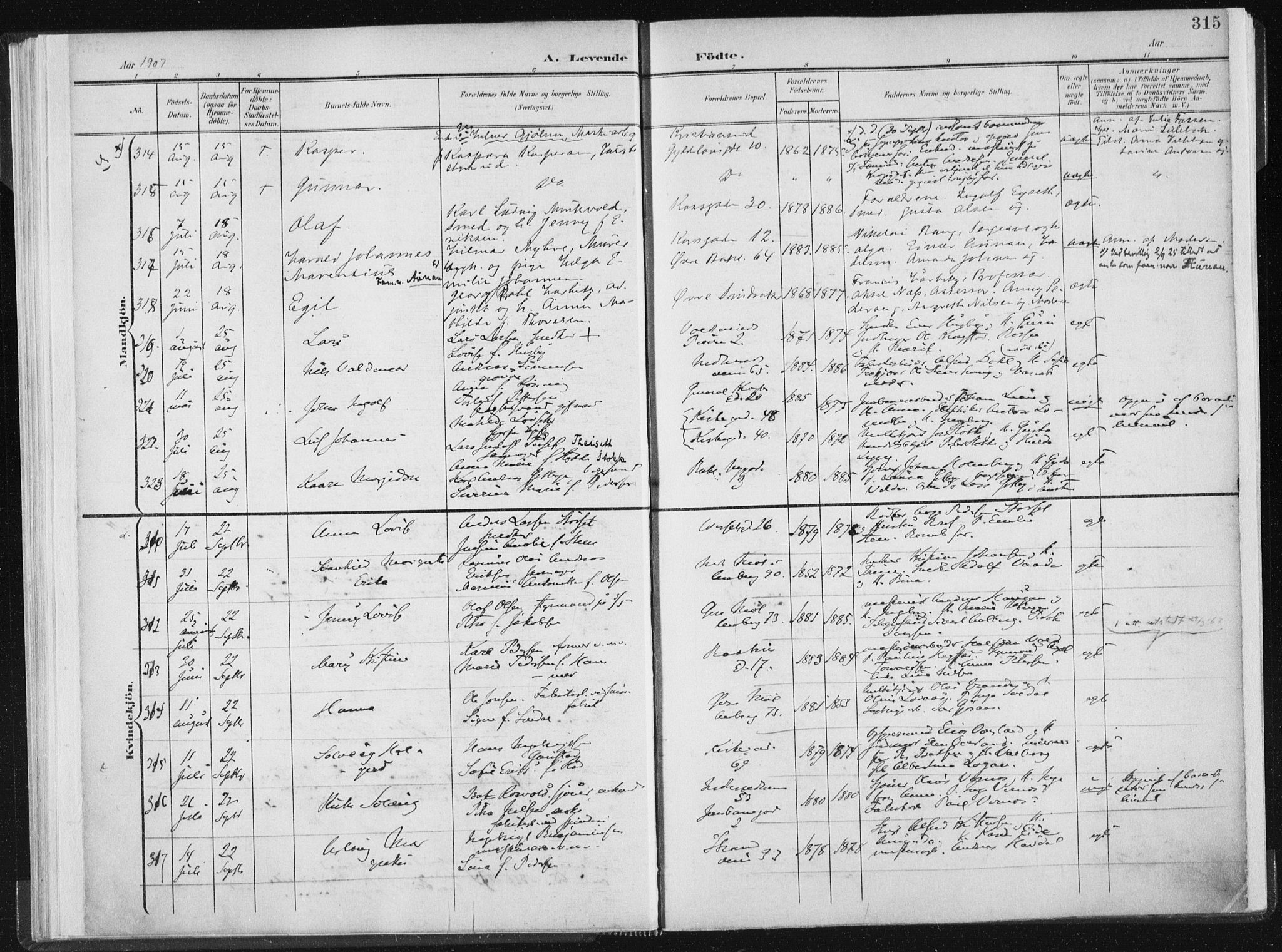 Ministerialprotokoller, klokkerbøker og fødselsregistre - Sør-Trøndelag, SAT/A-1456/604/L0200: Ministerialbok nr. 604A20II, 1901-1908, s. 315