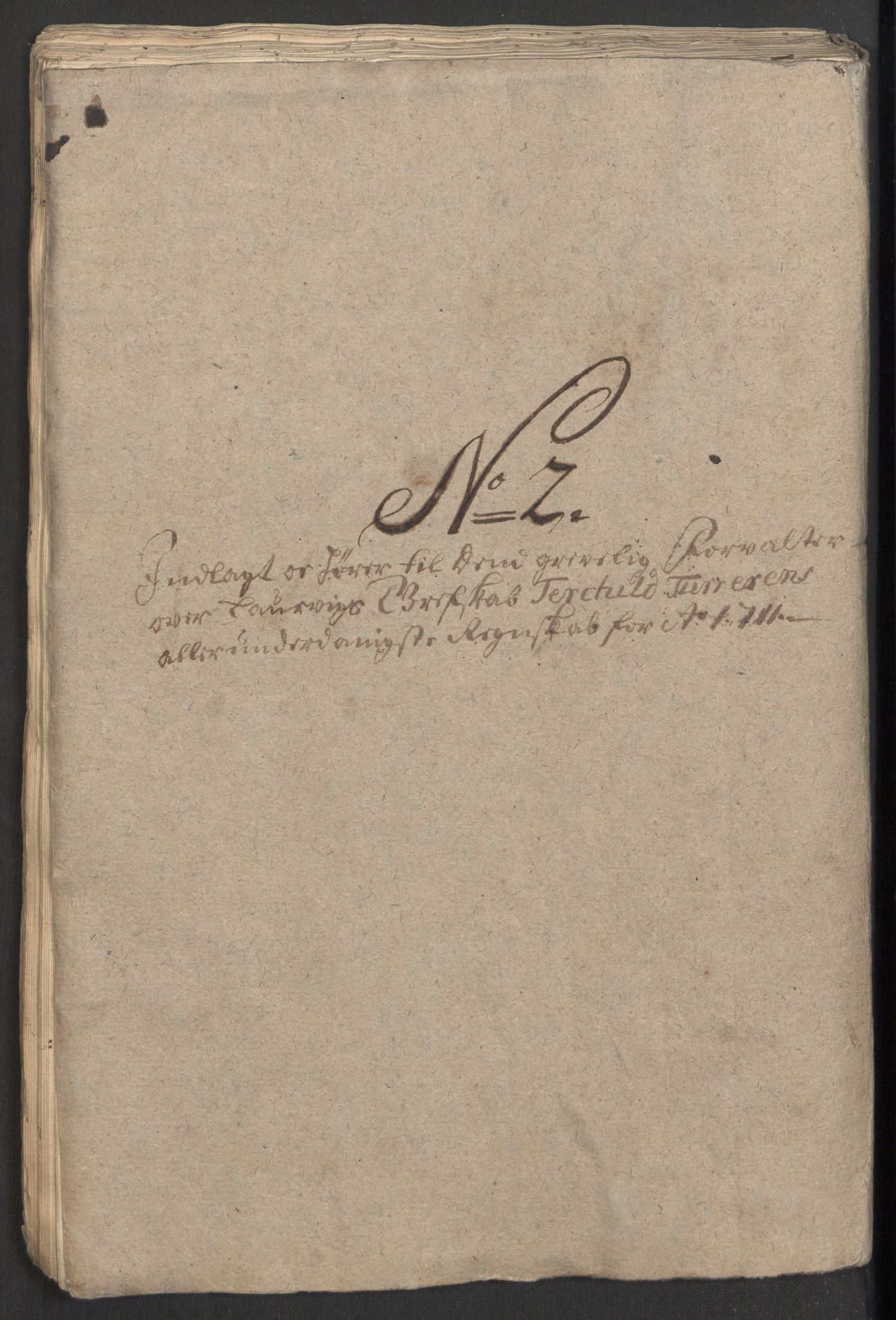 Rentekammeret inntil 1814, Reviderte regnskaper, Fogderegnskap, RA/EA-4092/R33/L1983: Fogderegnskap Larvik grevskap, 1711, s. 146