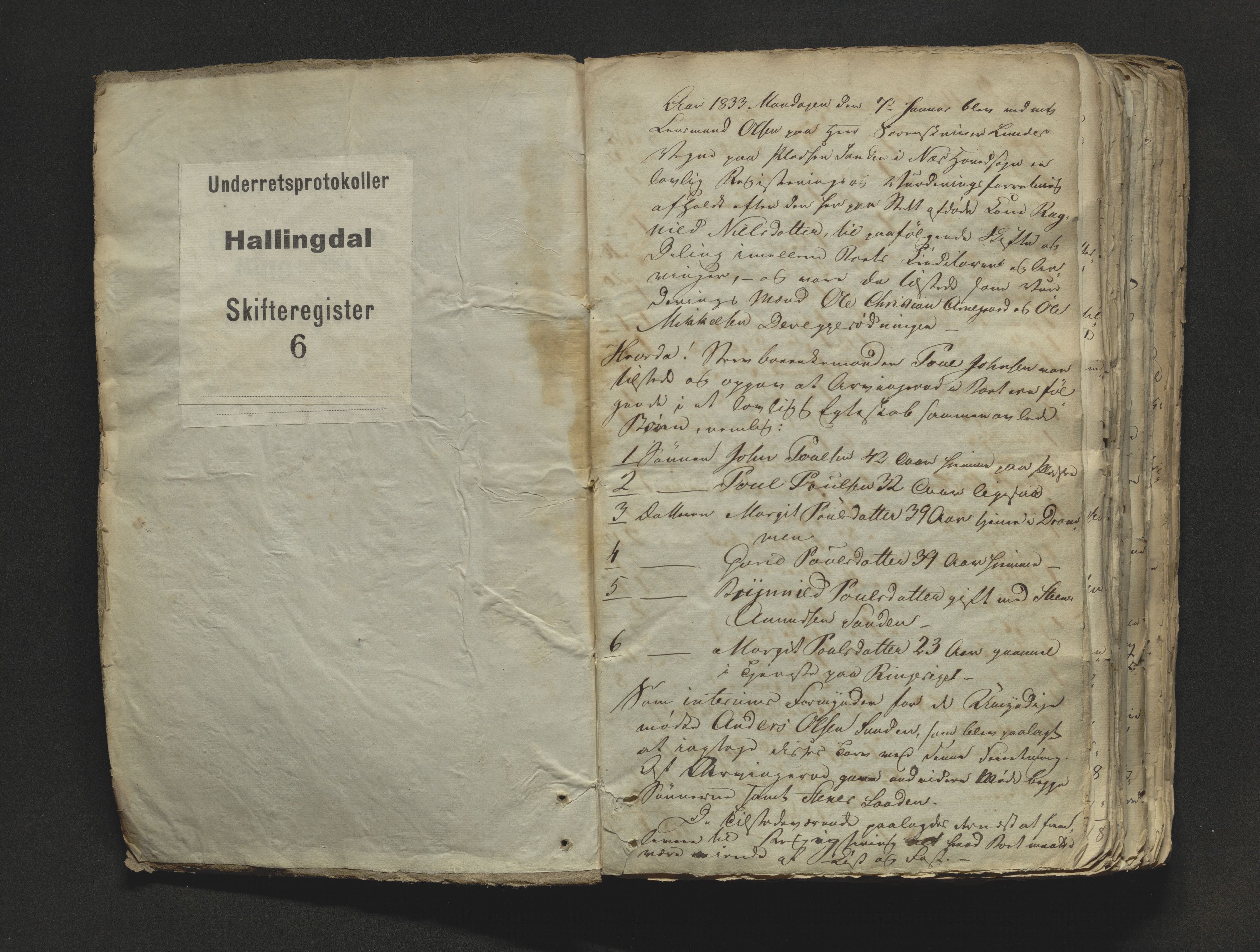 Hallingdal sorenskriveri, SAKO/A-121/H/Hb/Hbb/Hbba/L0006: Skifteregistreringsprotokoll, Sorenskriveriet, 1833