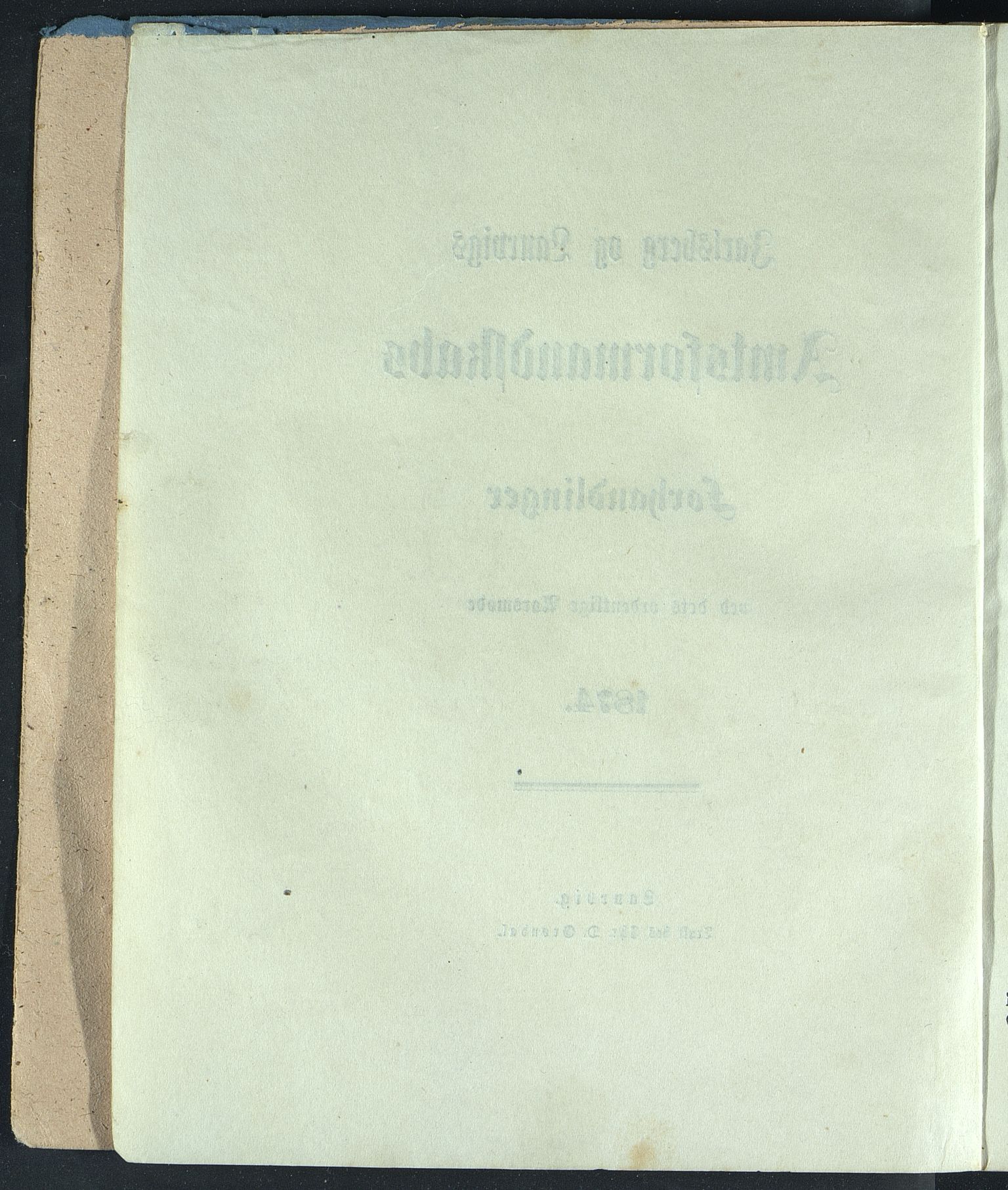 Vestfold fylkeskommune. Fylkestinget, VEMU/A-1315/A/Ab/Abb/L0020: Fylkestingsforhandlinger, 1874