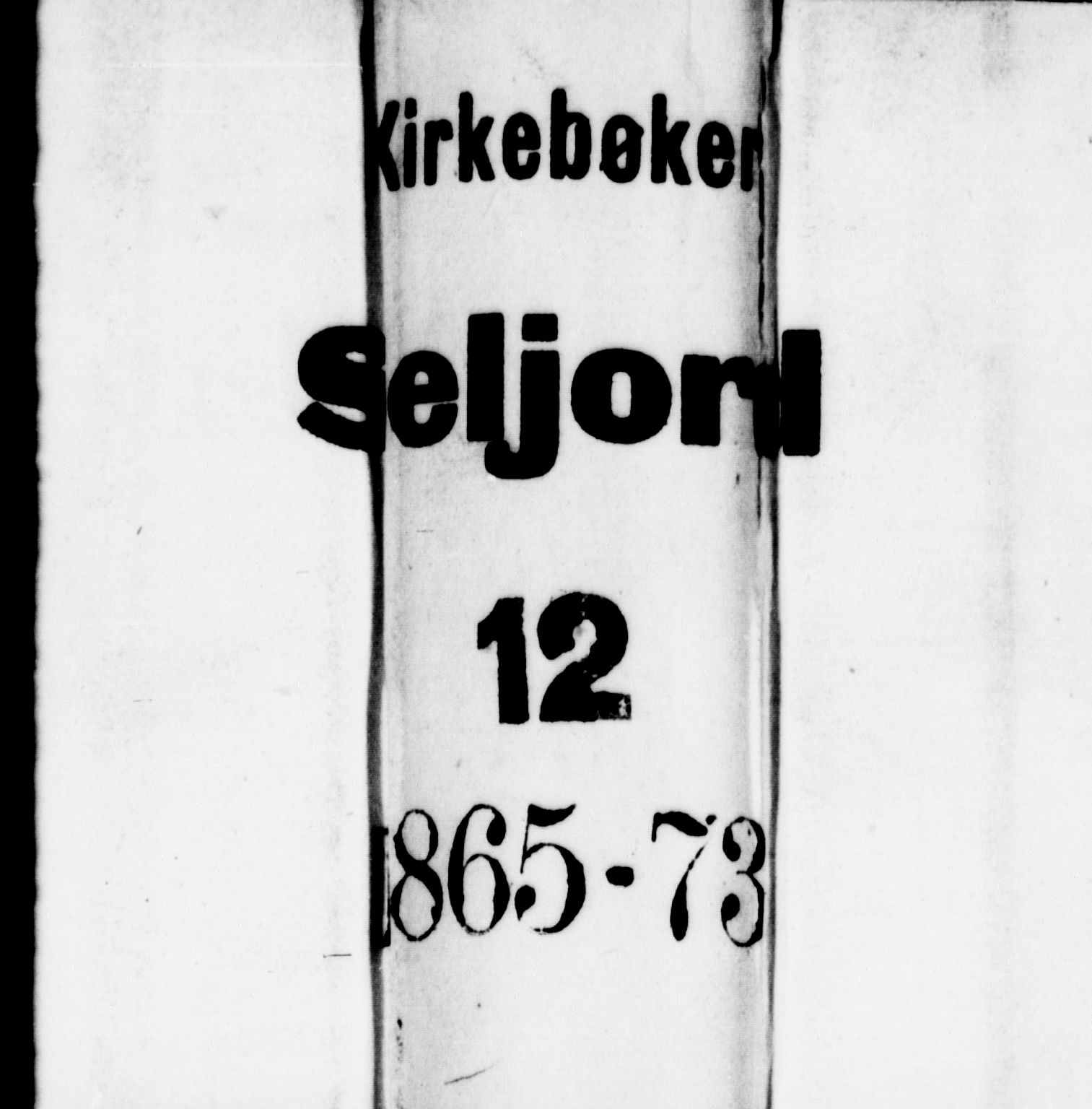 Seljord kirkebøker, SAKO/A-20/G/Ga/L0003: Klokkerbok nr. I 3, 1866-1873