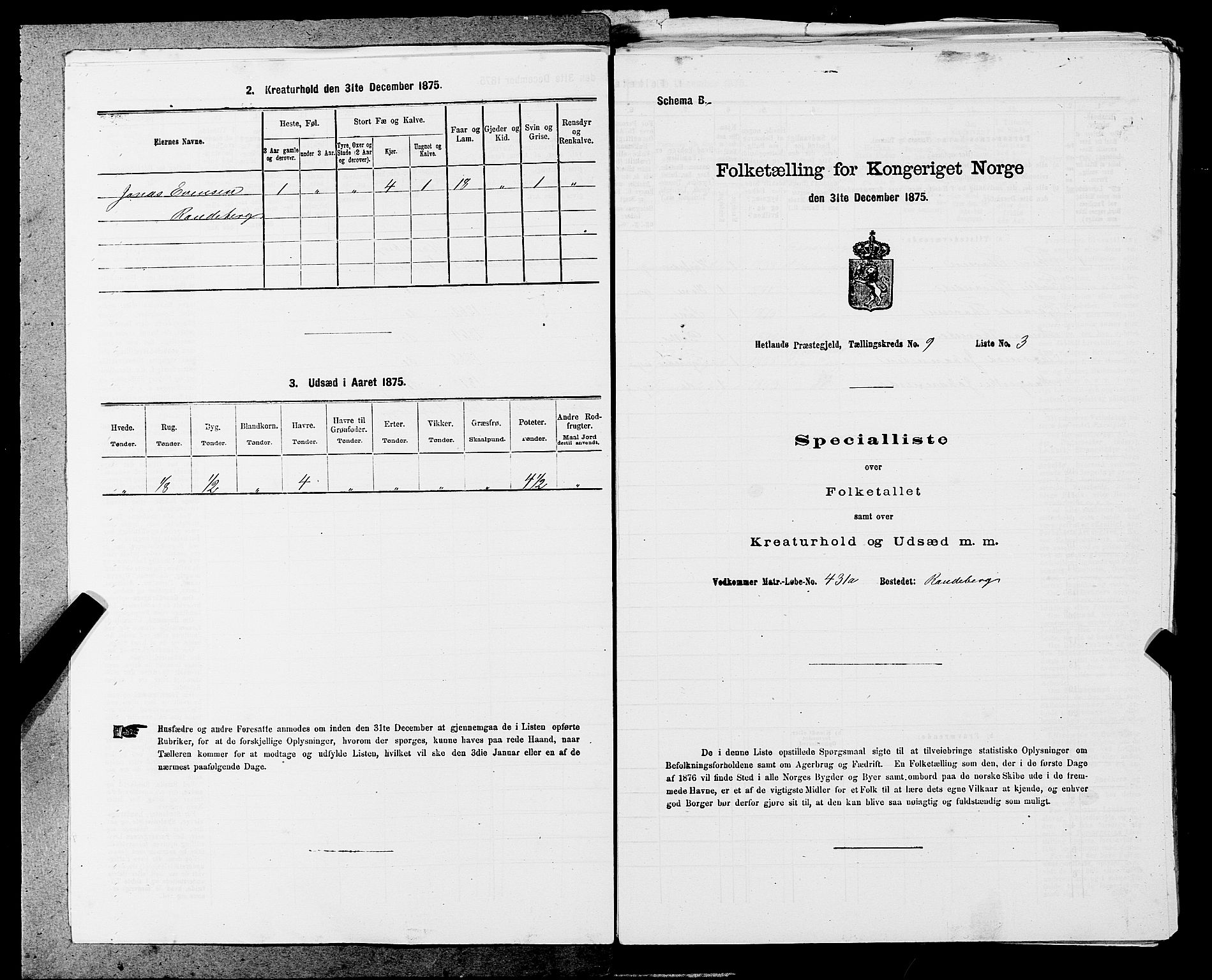 SAST, Folketelling 1875 for 1126P Hetland prestegjeld, 1875, s. 1801