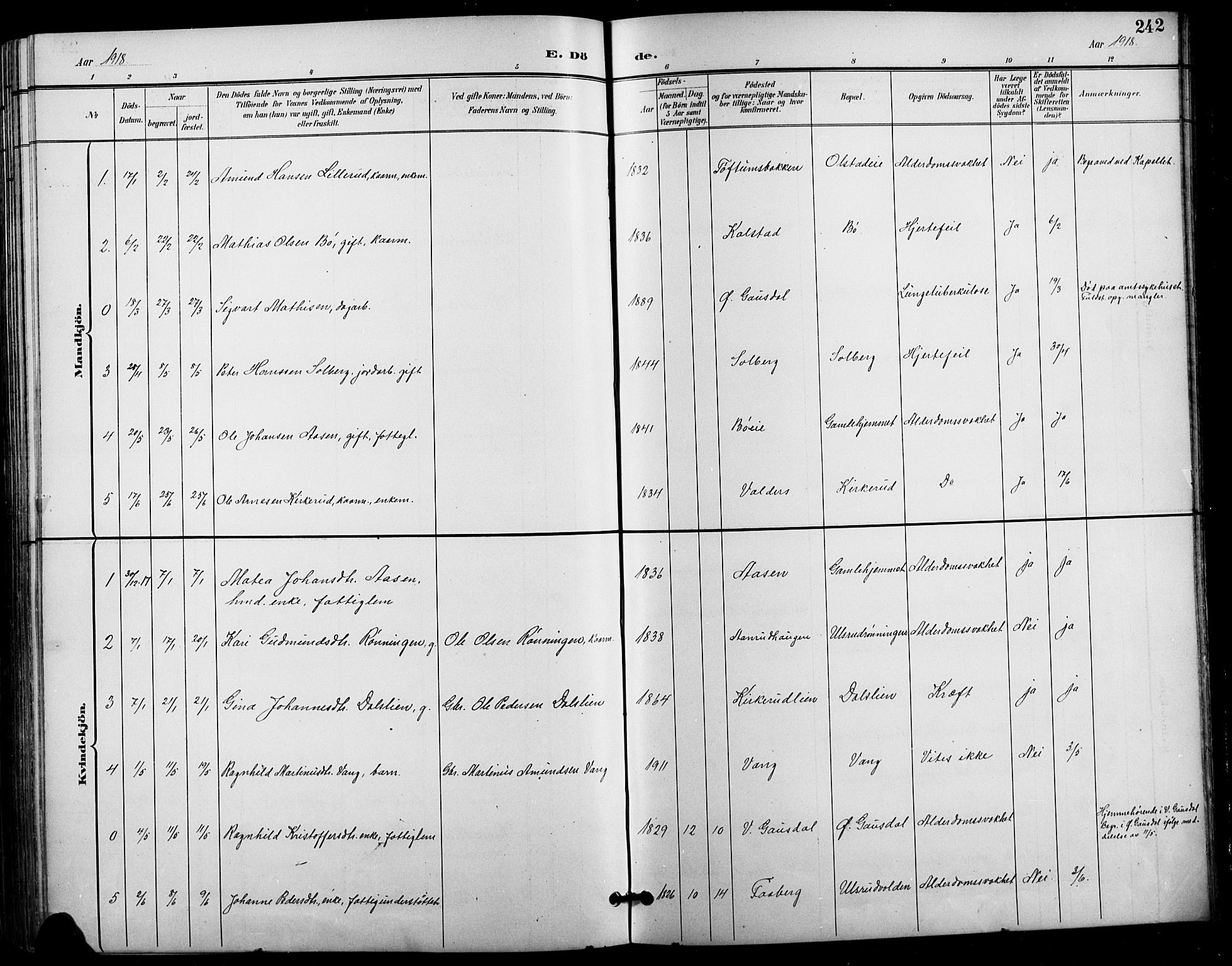 Vestre Gausdal prestekontor, SAH/PREST-094/H/Ha/Hab/L0003: Klokkerbok nr. 3, 1896-1925, s. 242