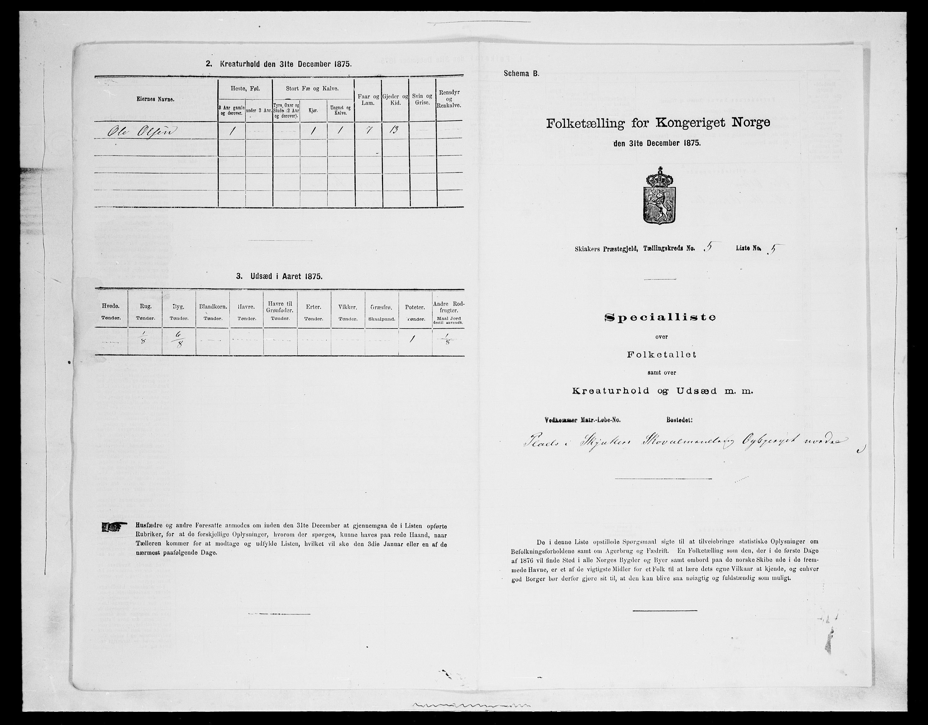 SAH, Folketelling 1875 for 0513P Skjåk prestegjeld, 1875, s. 723