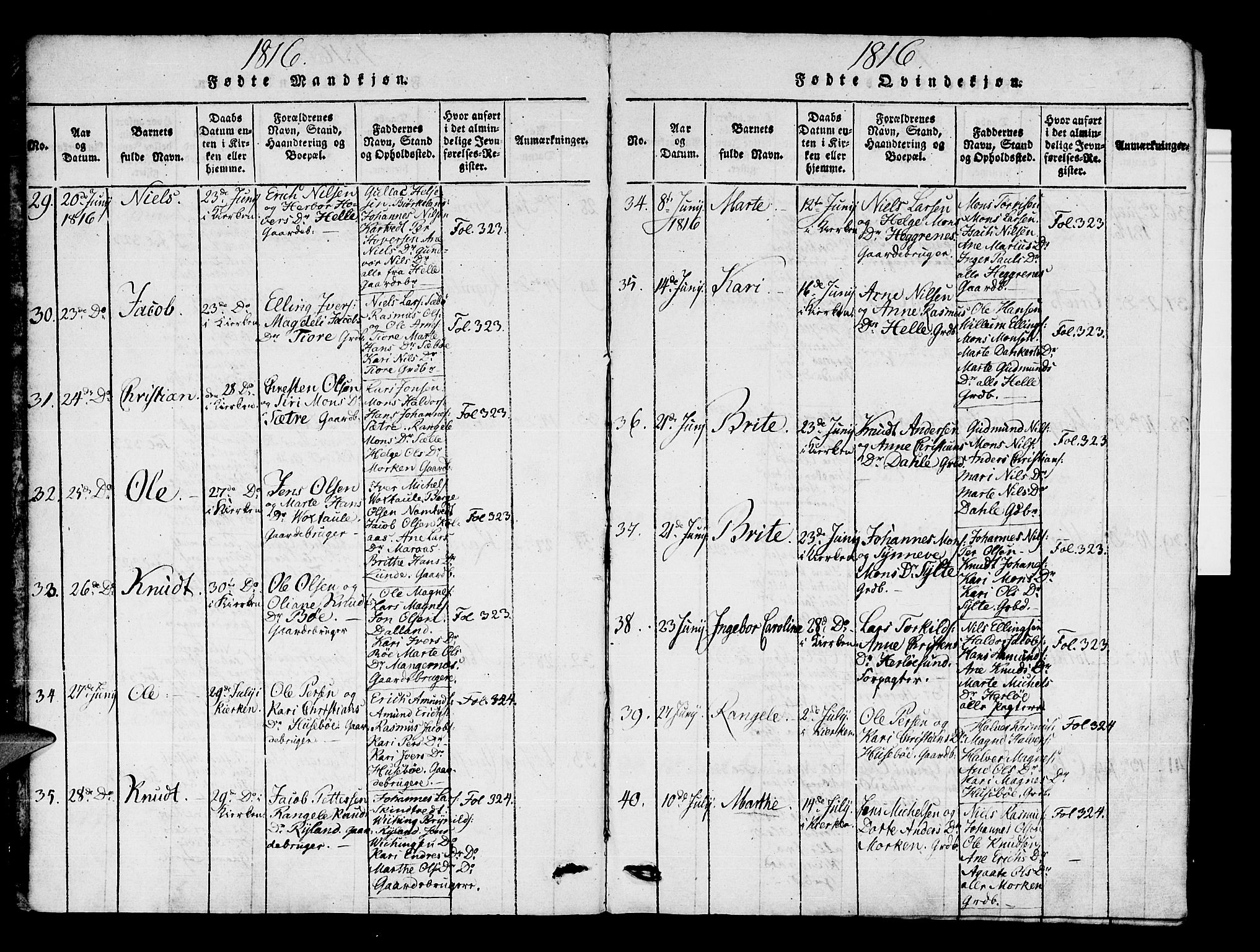 Manger sokneprestembete, AV/SAB-A-76801/H/Haa: Ministerialbok nr. A 3, 1816-1824, s. 6