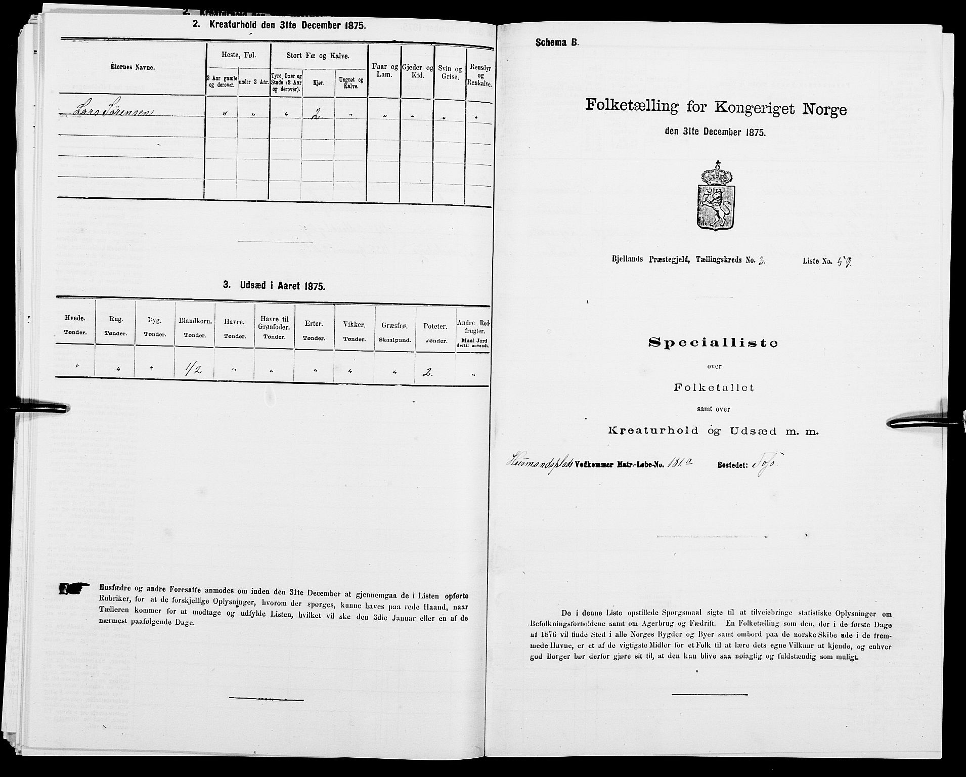 SAK, Folketelling 1875 for 1024P Bjelland prestegjeld, 1875, s. 383