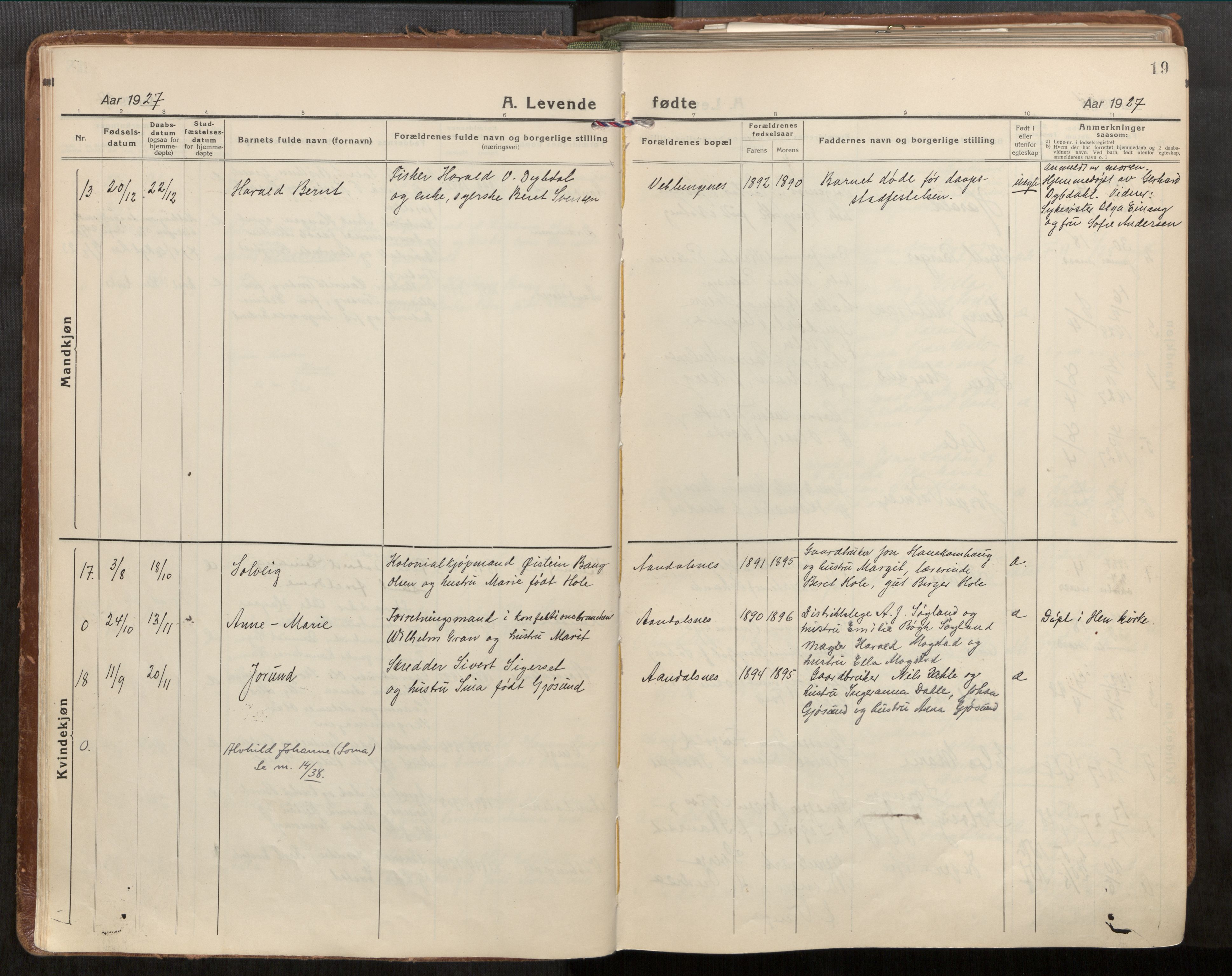 Ministerialprotokoller, klokkerbøker og fødselsregistre - Møre og Romsdal, AV/SAT-A-1454/544/L0587: Ministerialbok nr. 544A11, 1924-1954, s. 19