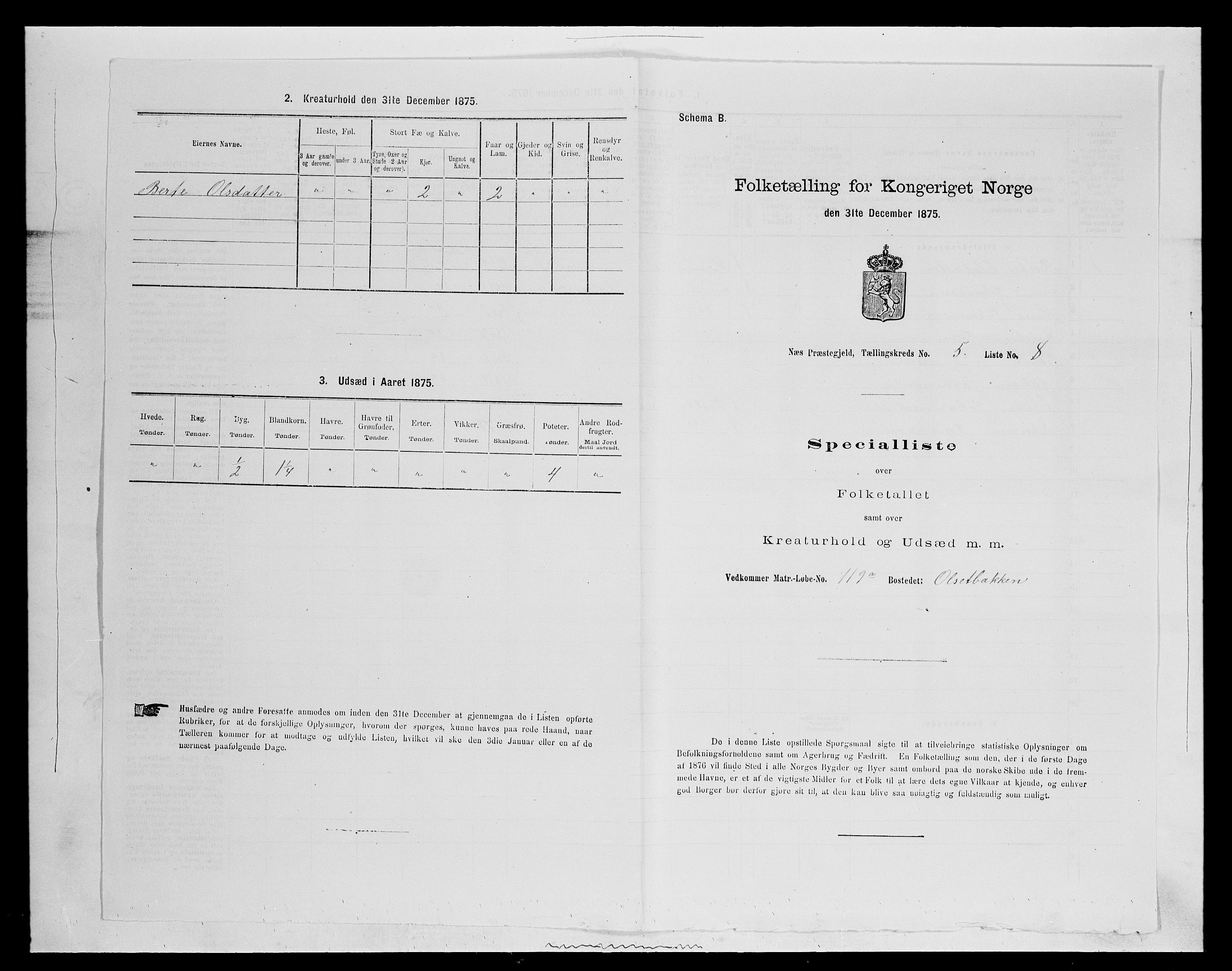 SAH, Folketelling 1875 for 0411P Nes prestegjeld, 1875, s. 802