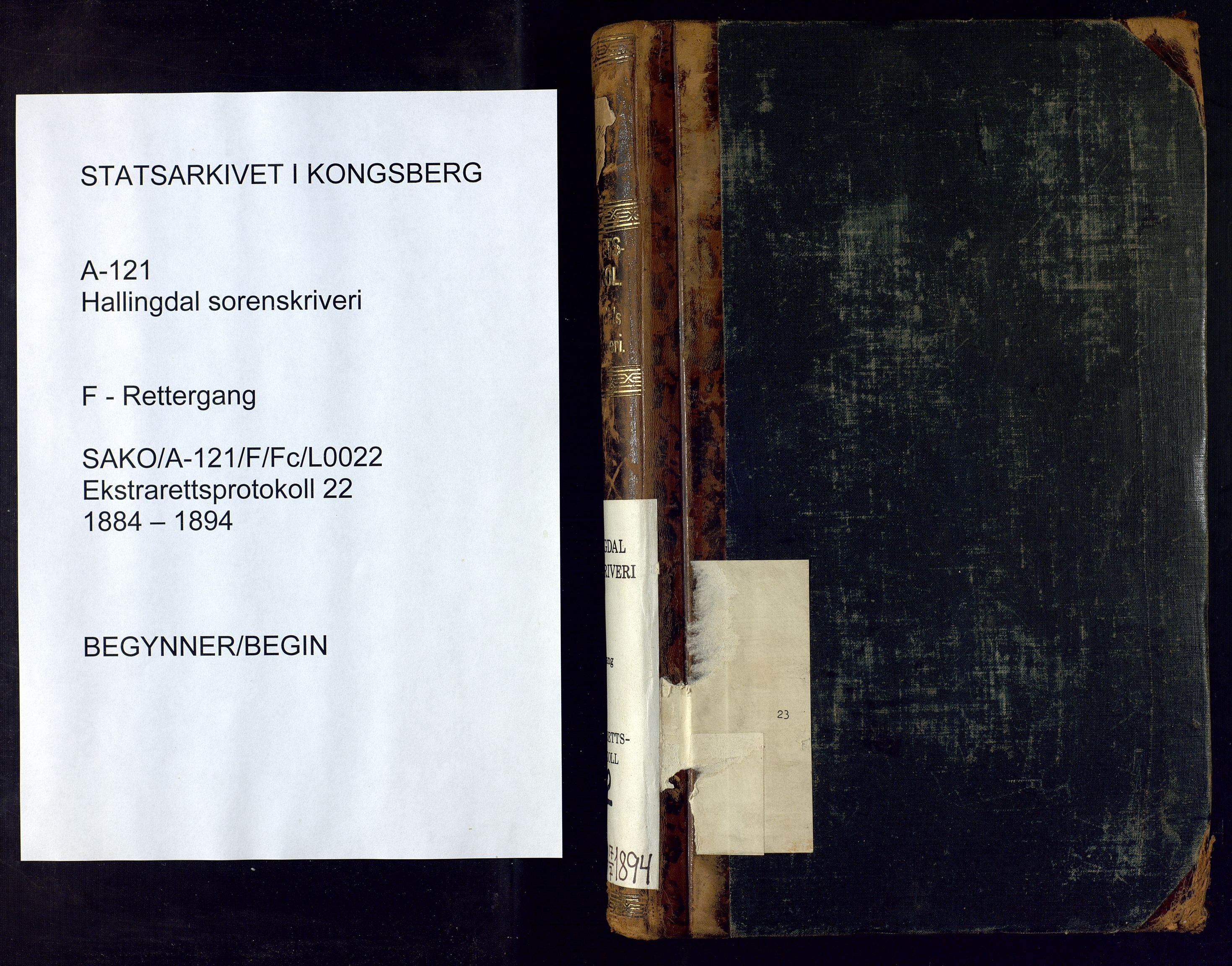 Hallingdal sorenskriveri, SAKO/A-121/F/Fc/L0022: Ekstrarettsprotokoll, 1884-1894