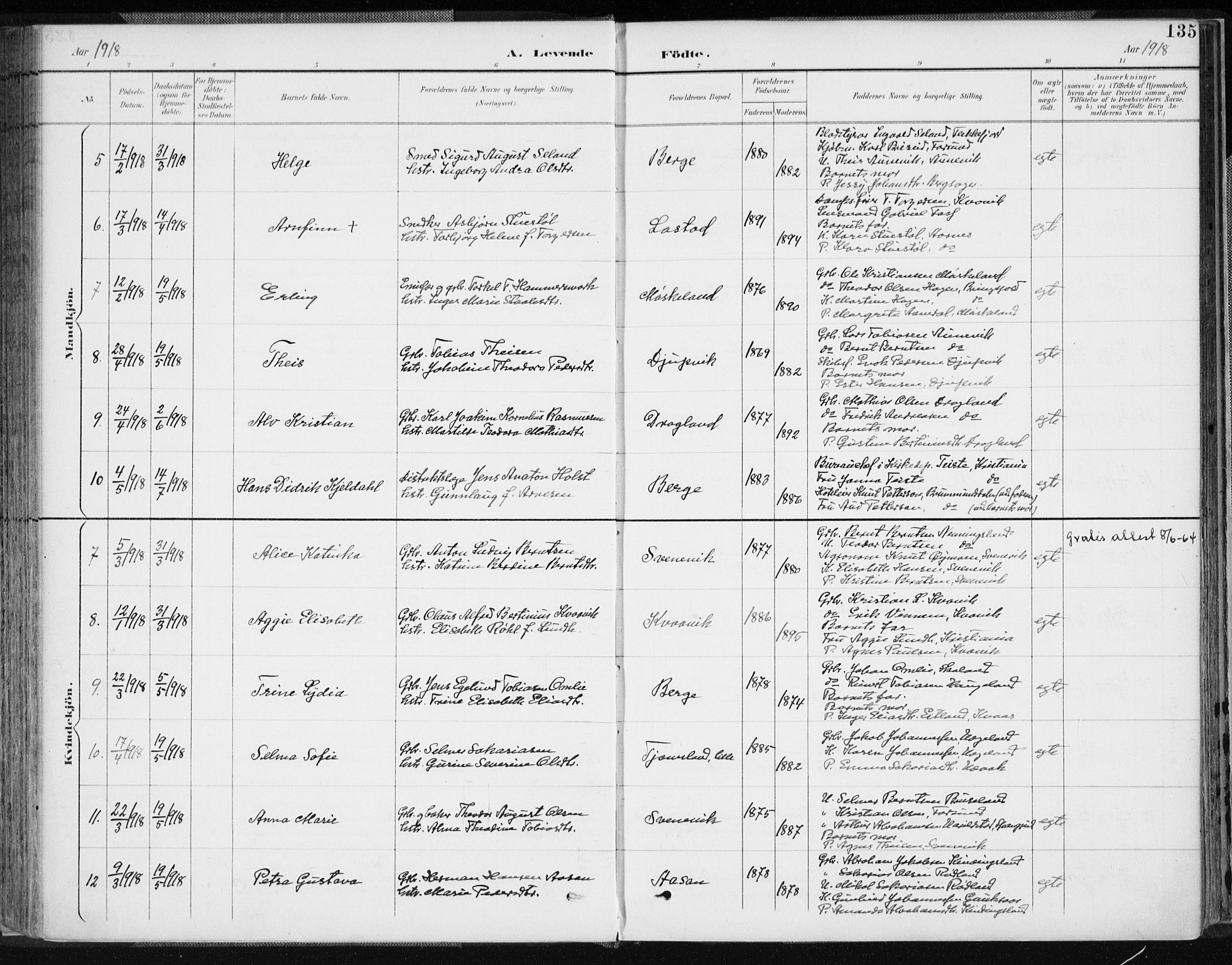 Lyngdal sokneprestkontor, AV/SAK-1111-0029/F/Fa/Fac/L0012: Ministerialbok nr. A 12, 1894-1918, s. 135
