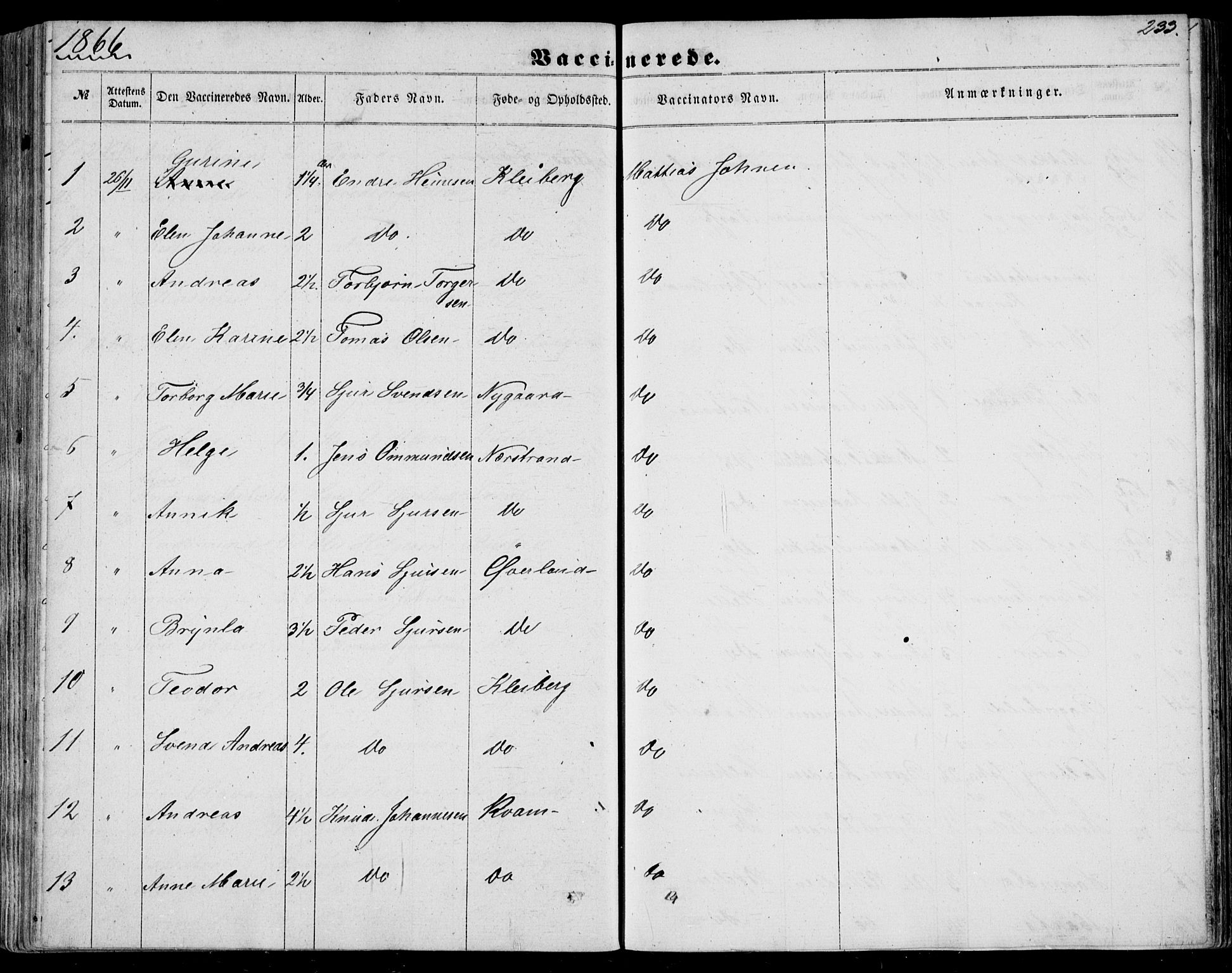 Nedstrand sokneprestkontor, AV/SAST-A-101841/01/IV: Ministerialbok nr. A 9, 1861-1876, s. 233