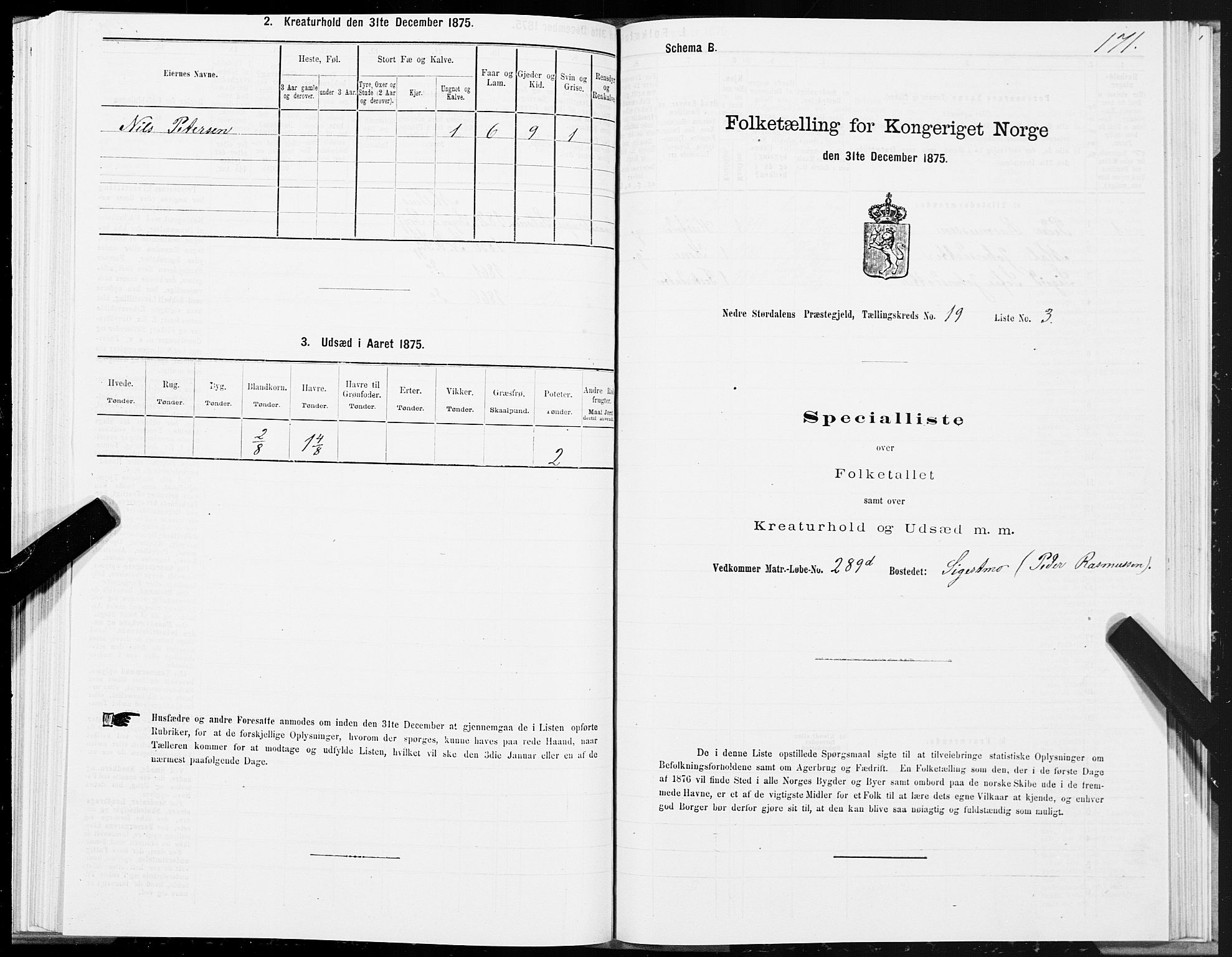 SAT, Folketelling 1875 for 1714P Nedre Stjørdal prestegjeld, 1875, s. 9171