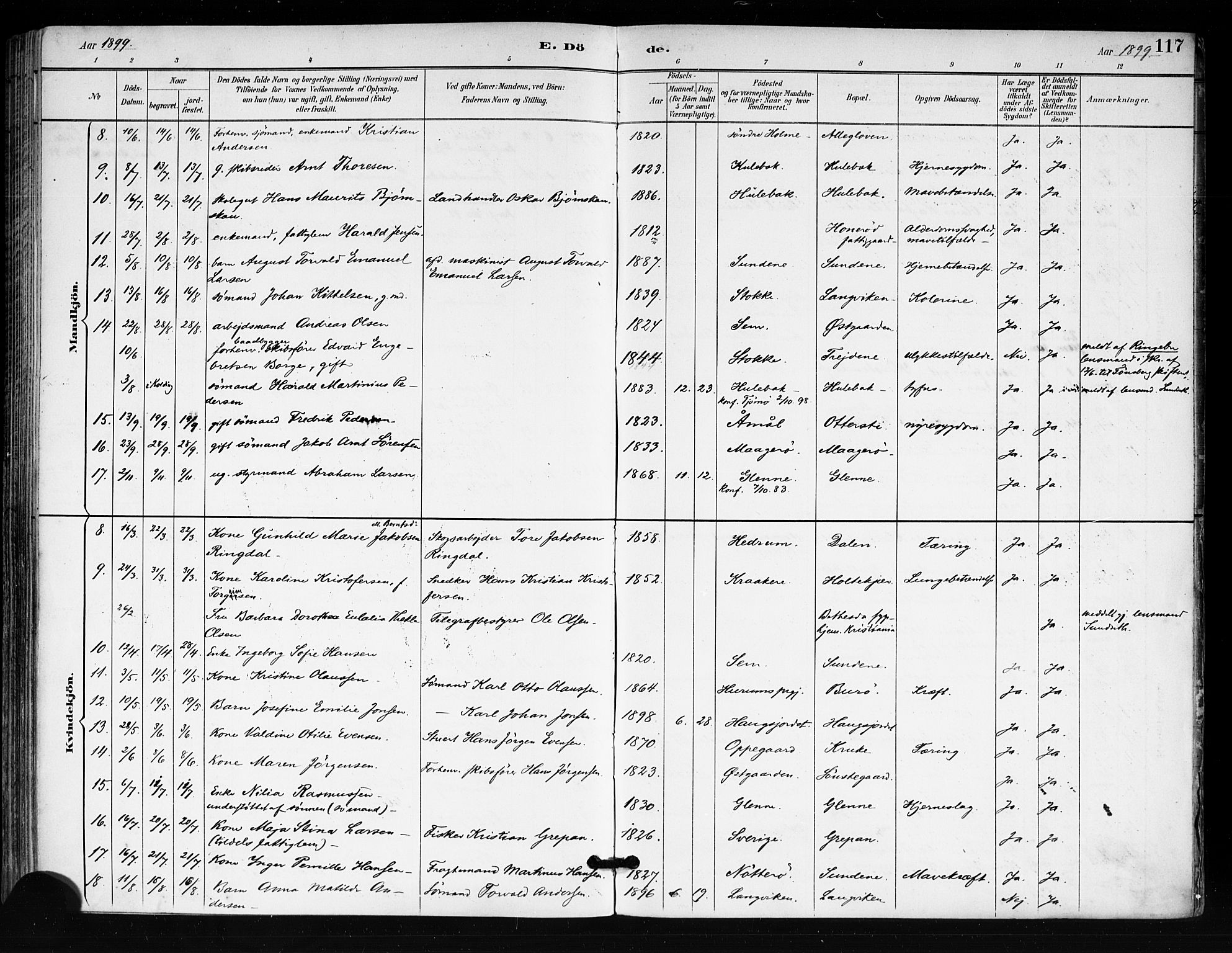 Tjøme kirkebøker, AV/SAKO-A-328/F/Fa/L0003: Ministerialbok nr. I 3, 1891-1900, s. 117