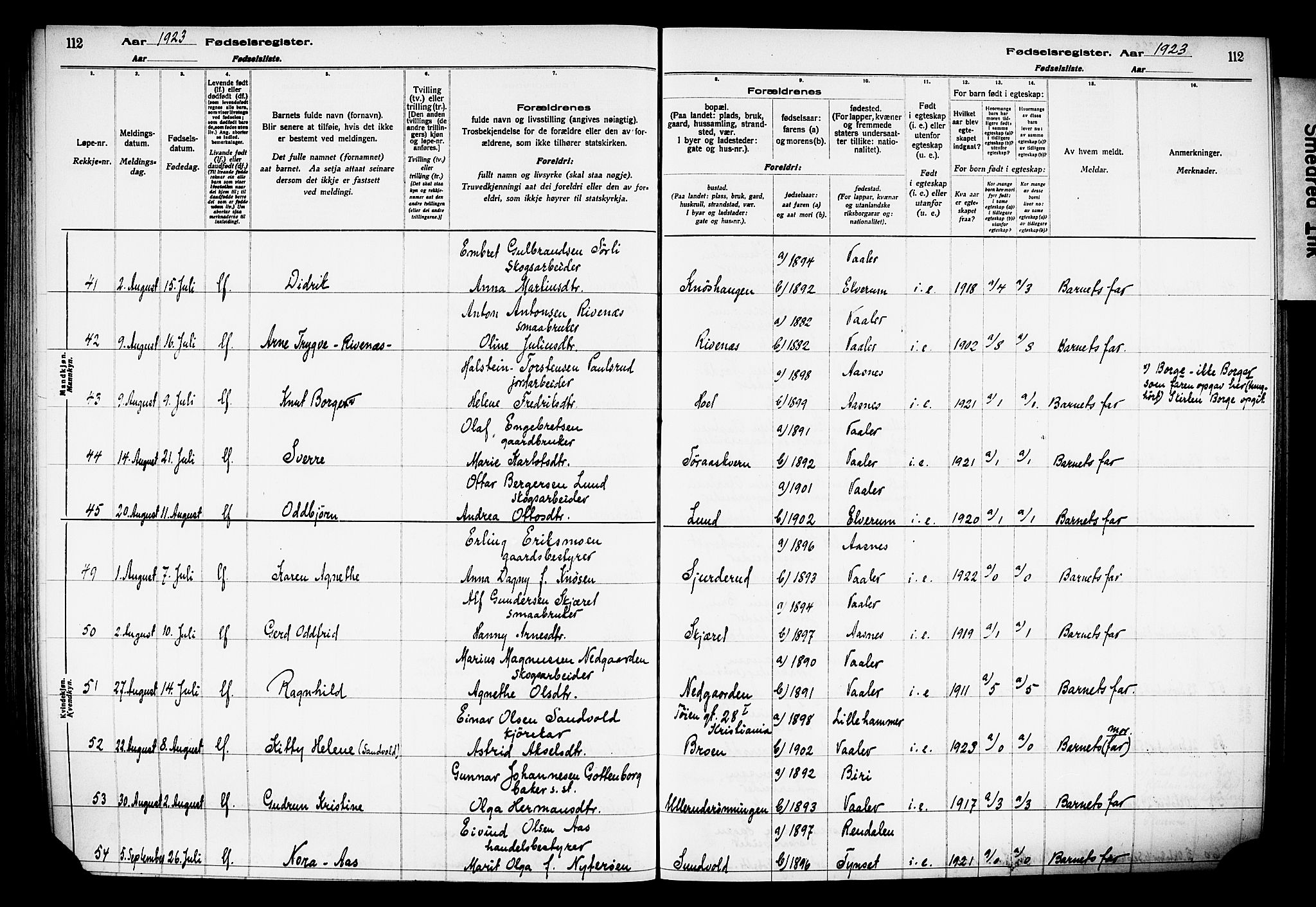 Våler prestekontor, Hedmark, AV/SAH-PREST-040/I/Id/L0001: Fødselsregister nr. 1, 1916-1930, s. 112