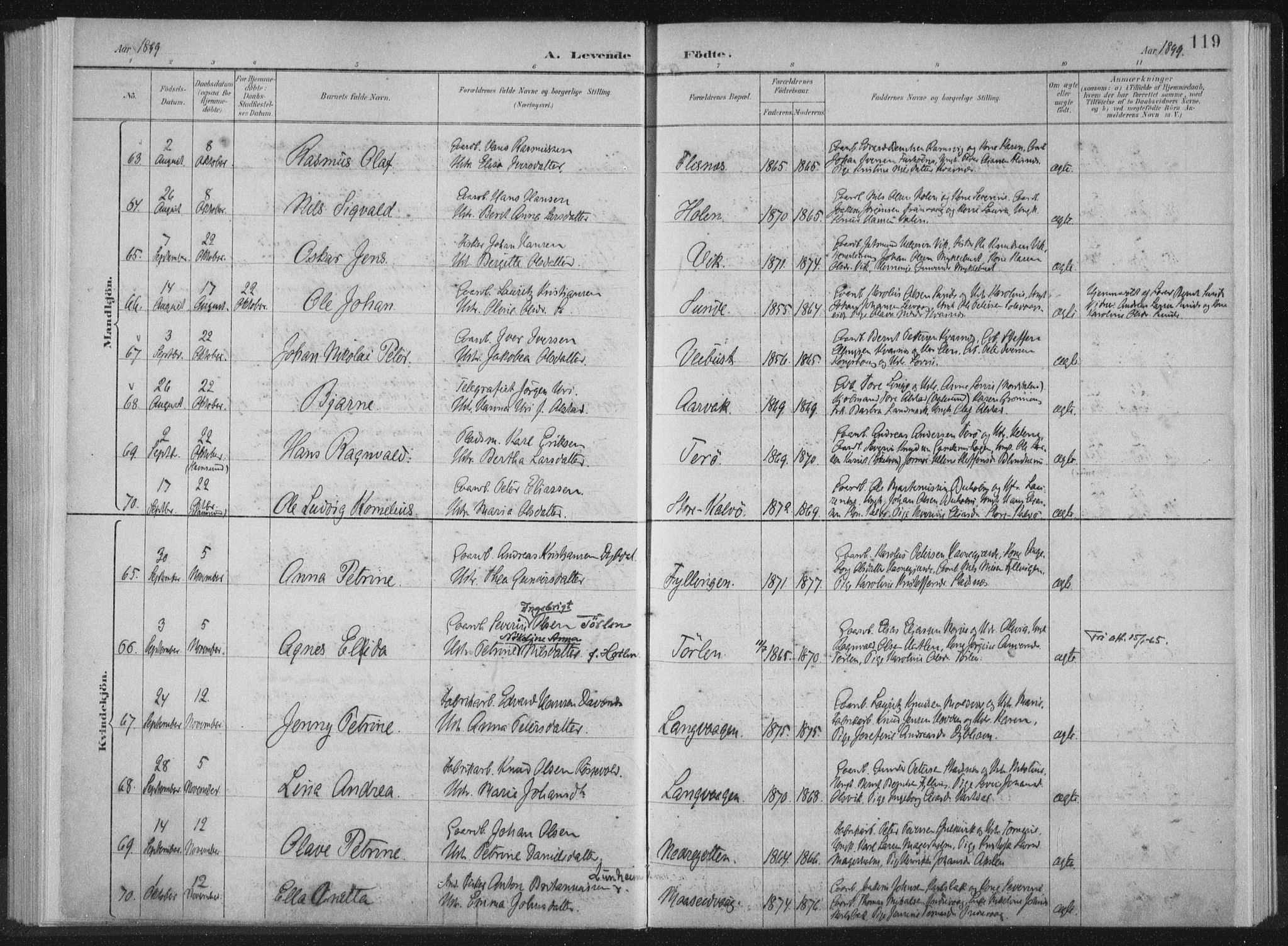 Ministerialprotokoller, klokkerbøker og fødselsregistre - Møre og Romsdal, AV/SAT-A-1454/528/L0405: Ministerialbok nr. 528A14, 1891-1906, s. 119