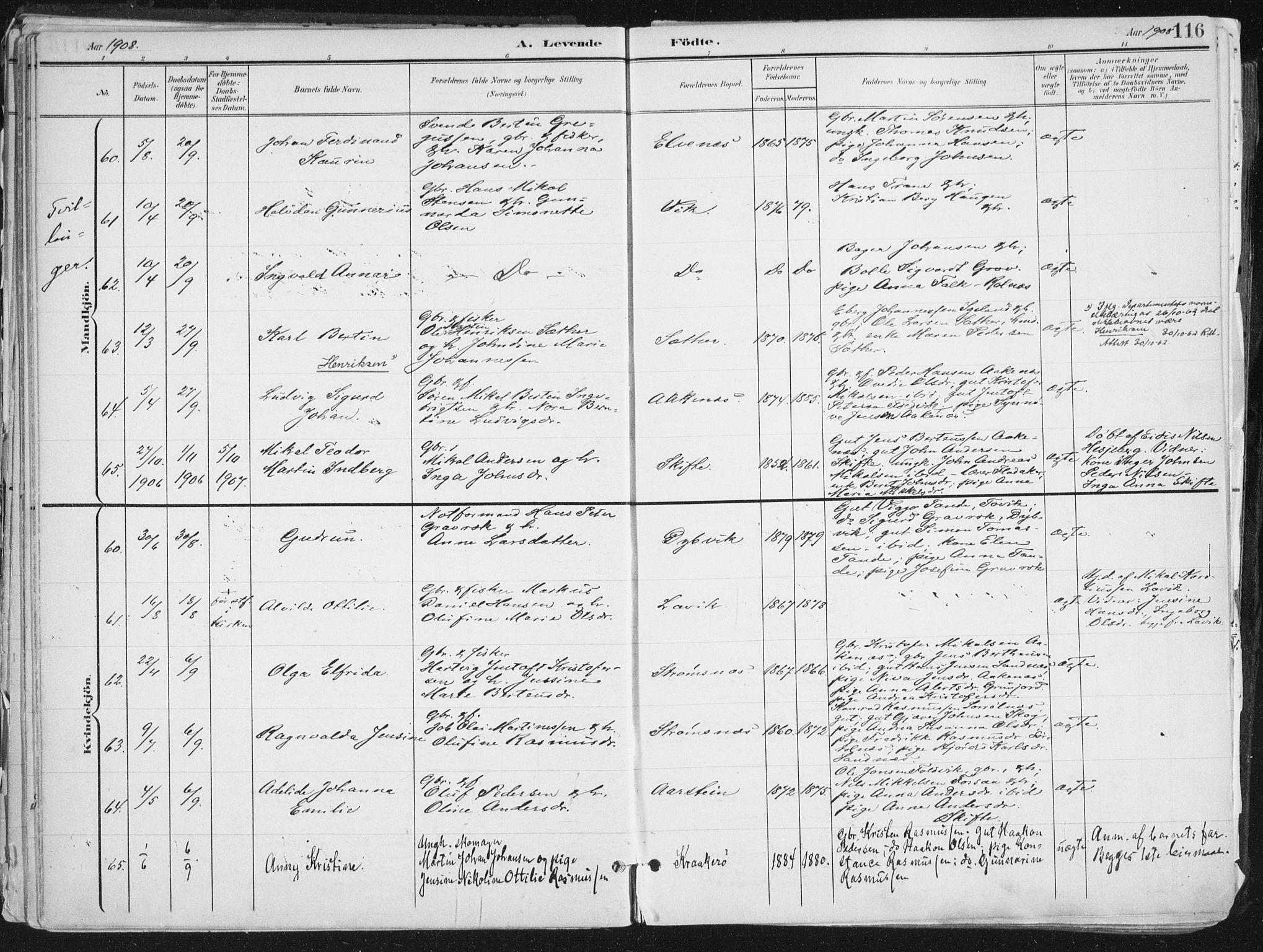 Ibestad sokneprestembete, AV/SATØ-S-0077/H/Ha/Haa/L0017kirke: Ministerialbok nr. 17, 1901-1914, s. 116