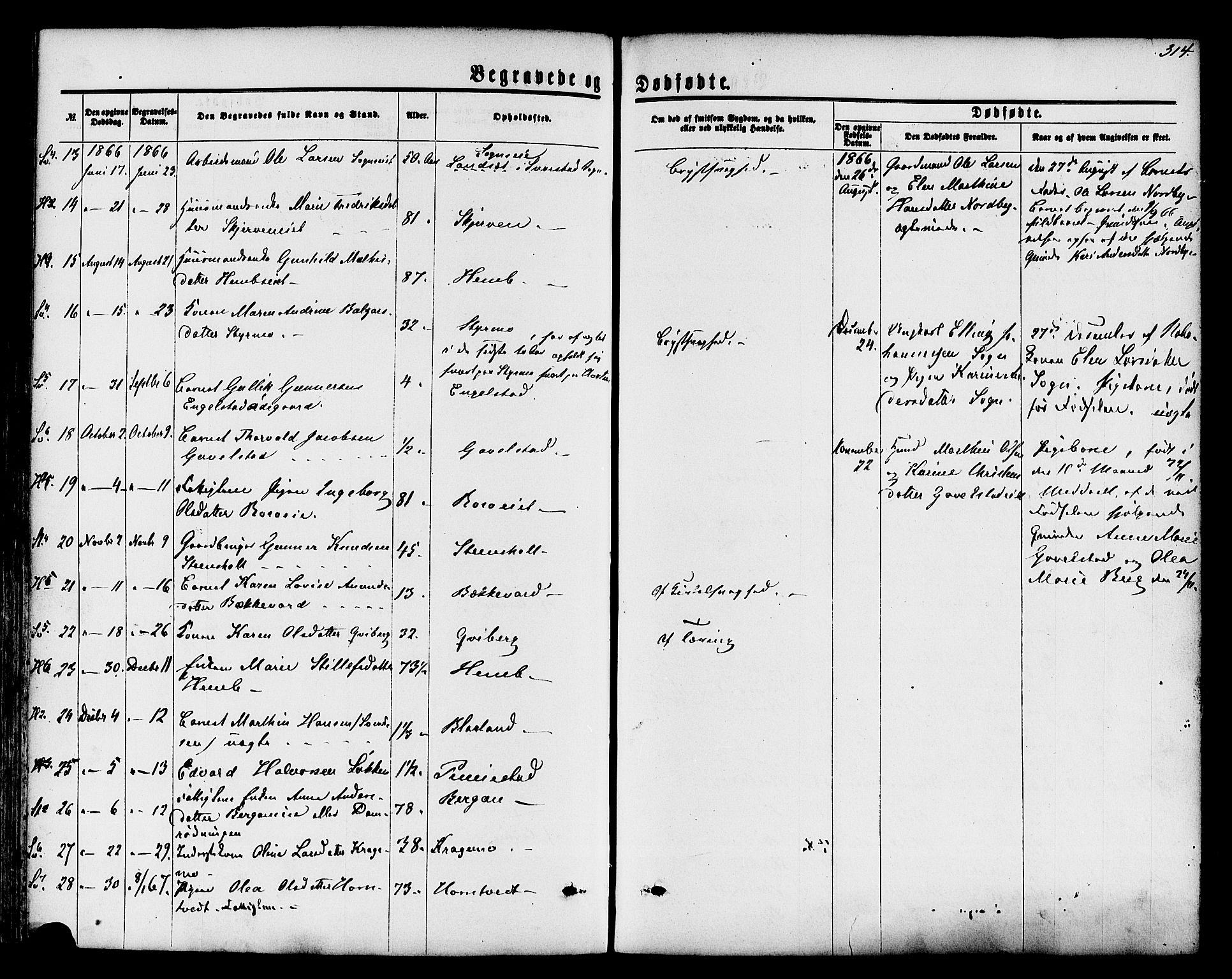 Lardal kirkebøker, AV/SAKO-A-350/F/Fa/L0007: Ministerialbok nr. I 7, 1861-1880, s. 314