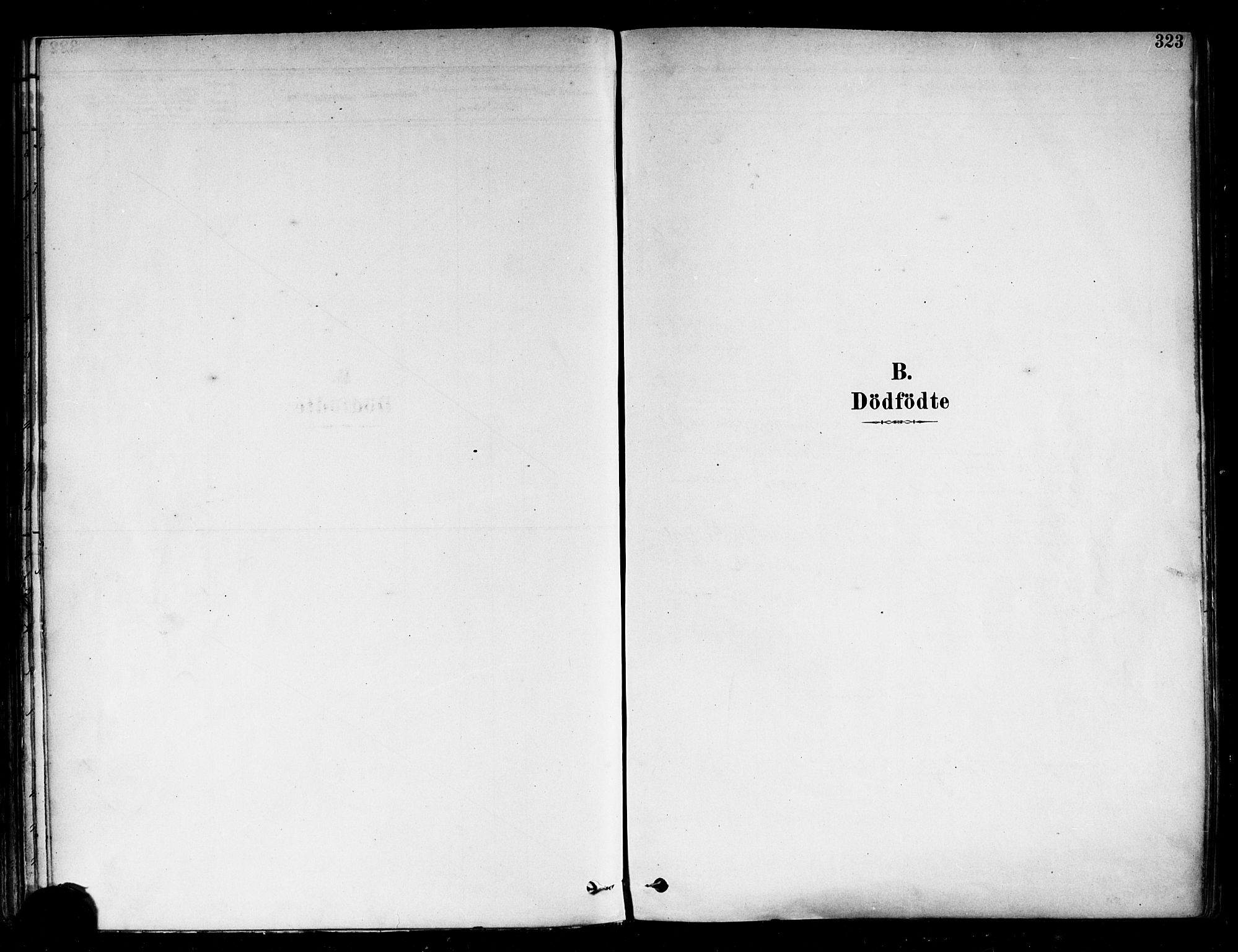 Fredrikstad domkirkes prestekontor Kirkebøker, AV/SAO-A-10906/F/Fa/L0002: Ministerialbok nr. 2, 1878-1894, s. 323