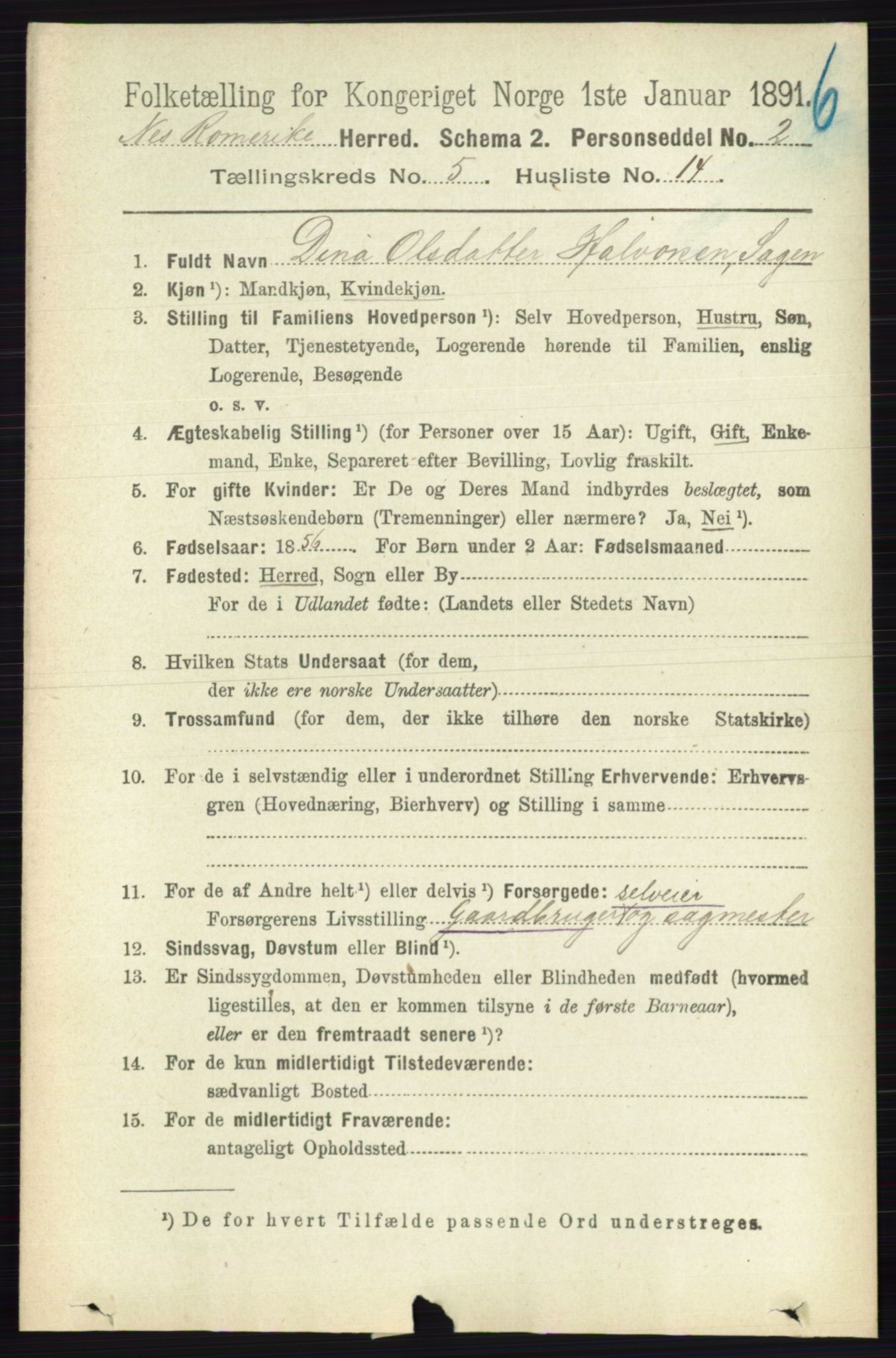 RA, Folketelling 1891 for 0236 Nes herred, 1891, s. 2864