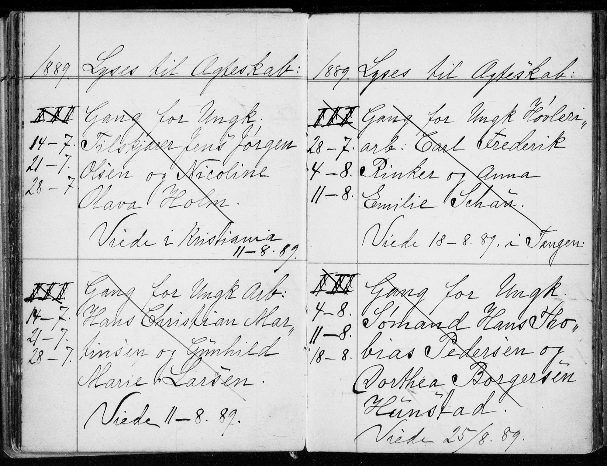 Strømsø kirkebøker, AV/SAKO-A-246/H/Ha/L0007: Lysningsprotokoll nr. 7, 1884-1896