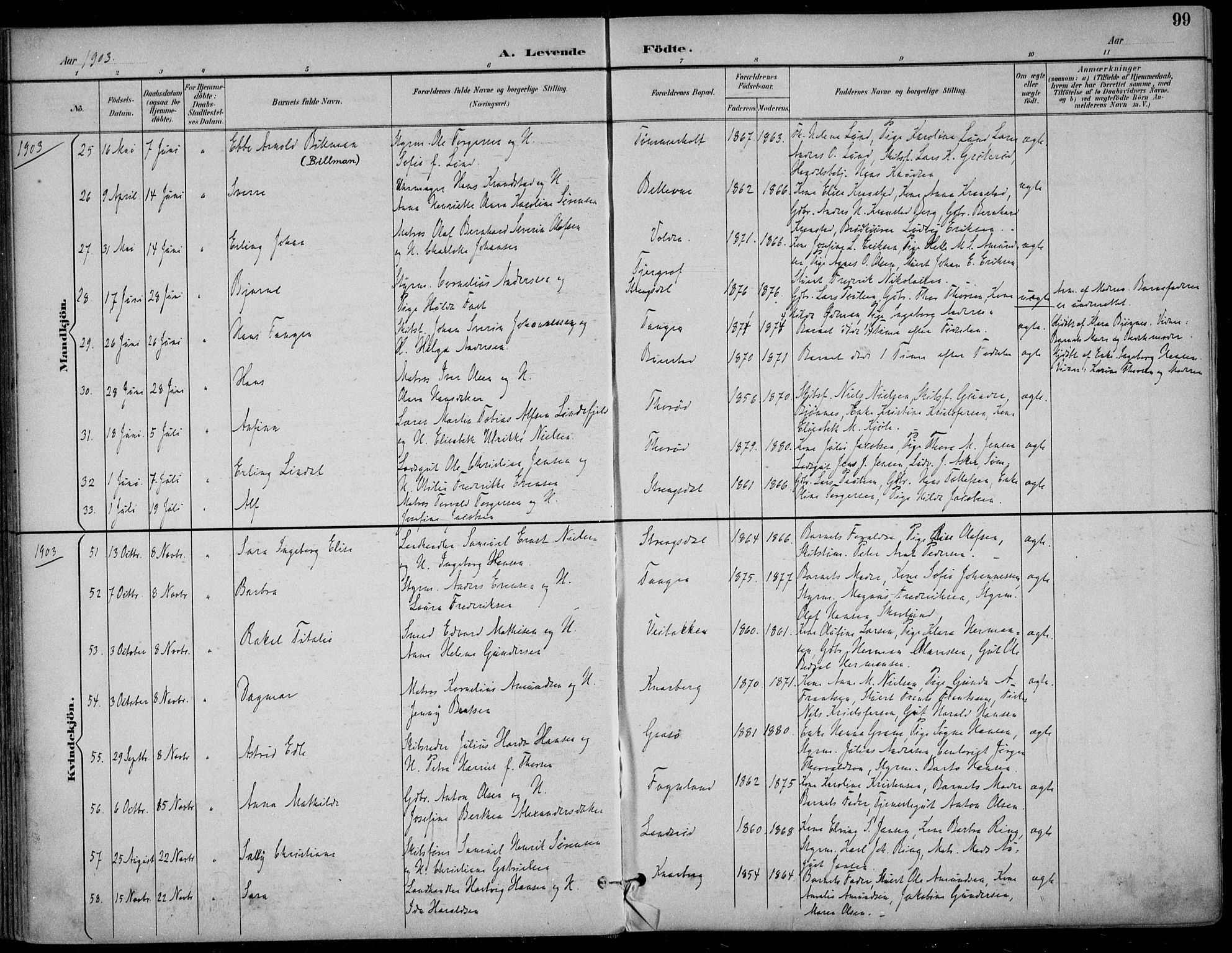 Nøtterøy kirkebøker, AV/SAKO-A-354/F/Fa/L0009: Ministerialbok nr. I 9, 1894-1907, s. 99