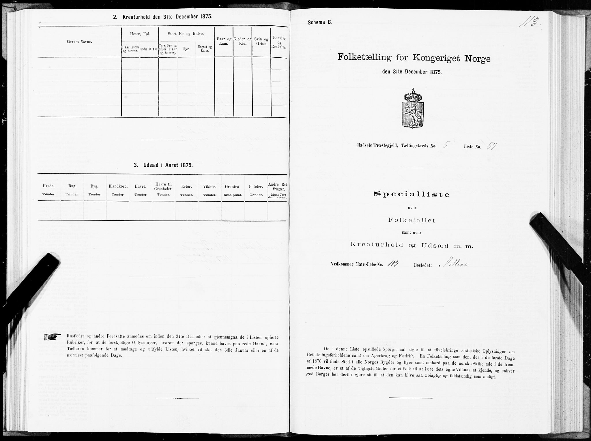SAT, Folketelling 1875 for 1866P Hadsel prestegjeld, 1875, s. 3113