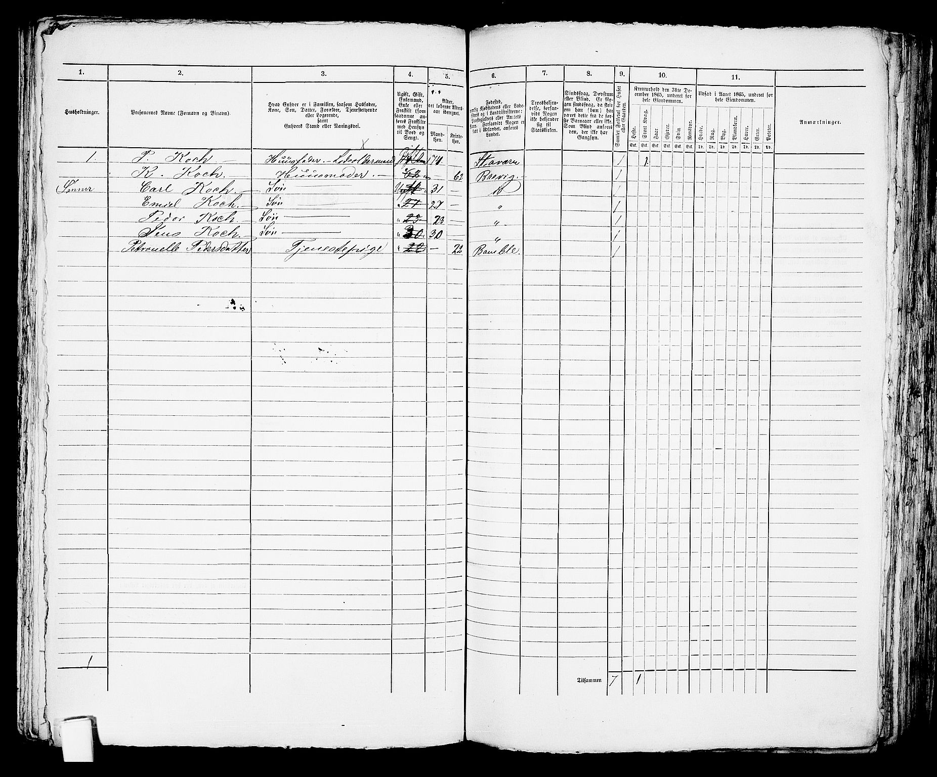 RA, Folketelling 1865 for 0804P Brevik prestegjeld, 1865, s. 553