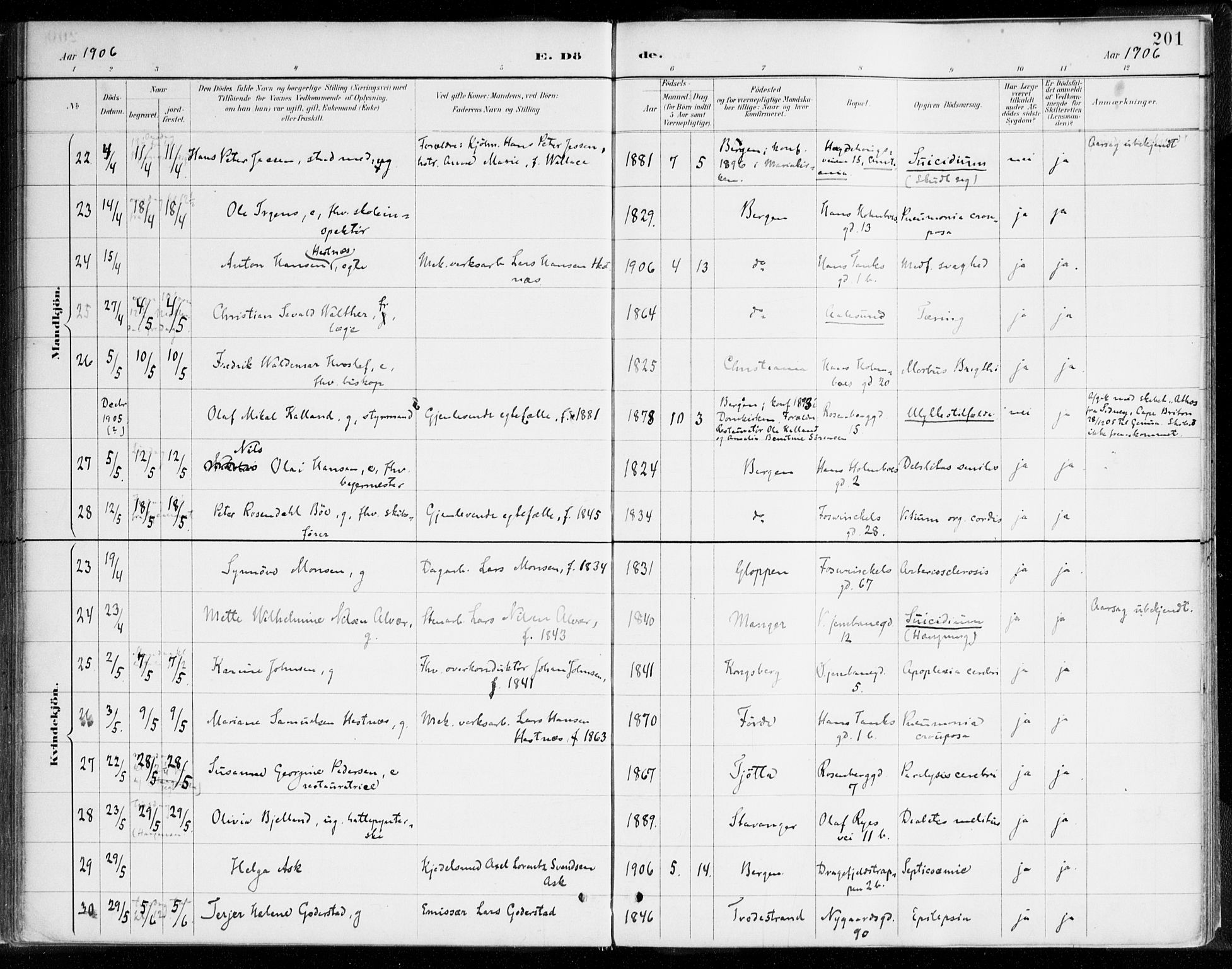 Johanneskirken sokneprestembete, AV/SAB-A-76001/H/Haa/L0019: Ministerialbok nr. E 1, 1885-1915, s. 201