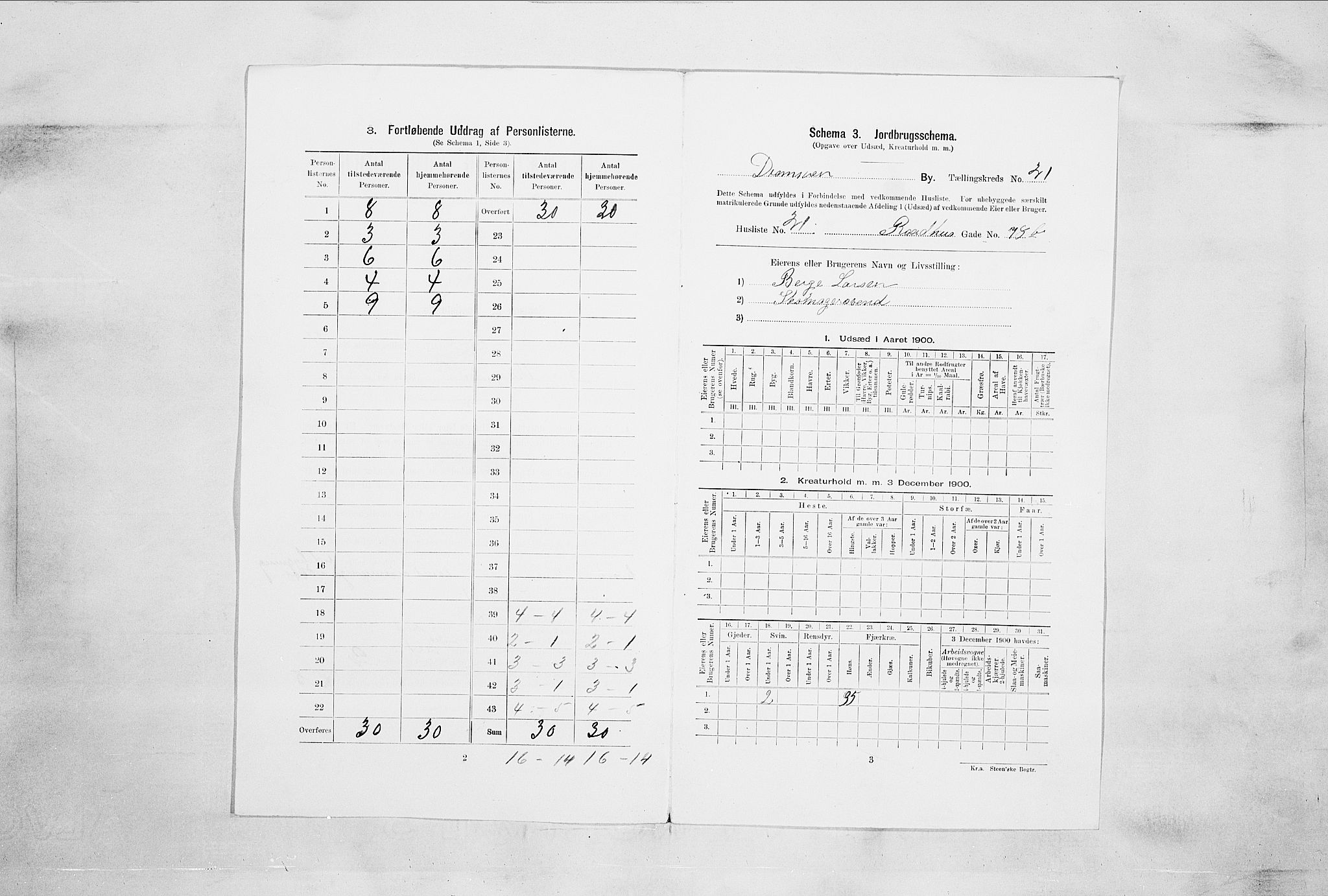 RA, Folketelling 1900 for 0602 Drammen kjøpstad, 1900, s. 3515