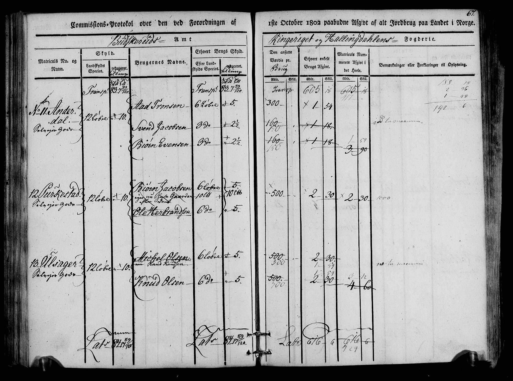 Rentekammeret inntil 1814, Realistisk ordnet avdeling, AV/RA-EA-4070/N/Ne/Nea/L0047: Ringerike og Hallingdal fogderi. Kommisjonsprotokoll for Nes prestegjeld, 1803, s. 69