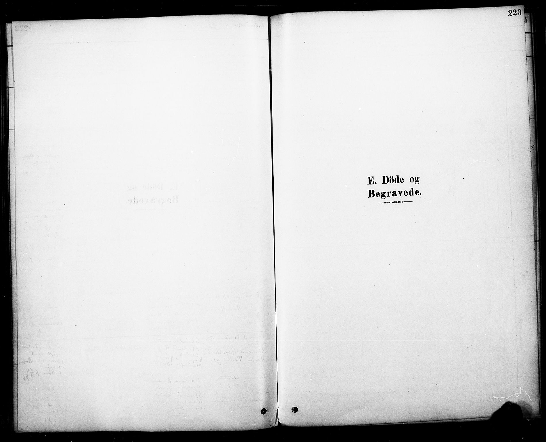 Strømm kirkebøker, SAKO/A-322/F/Fb/L0001: Ministerialbok nr. II 1, 1878-1899, s. 223