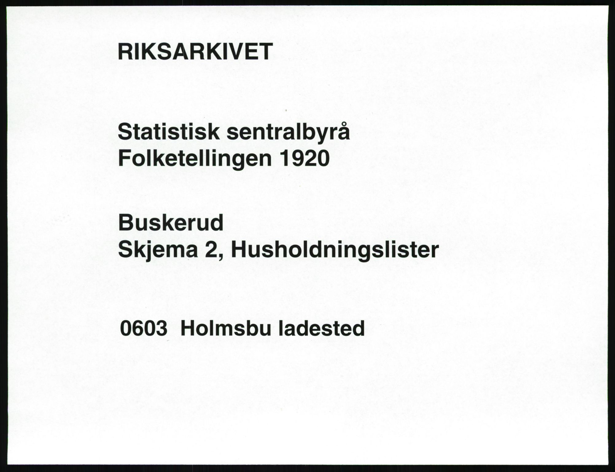 SAKO, Folketelling 1920 for 0603 Holmsbu ladested, 1920, s. 204