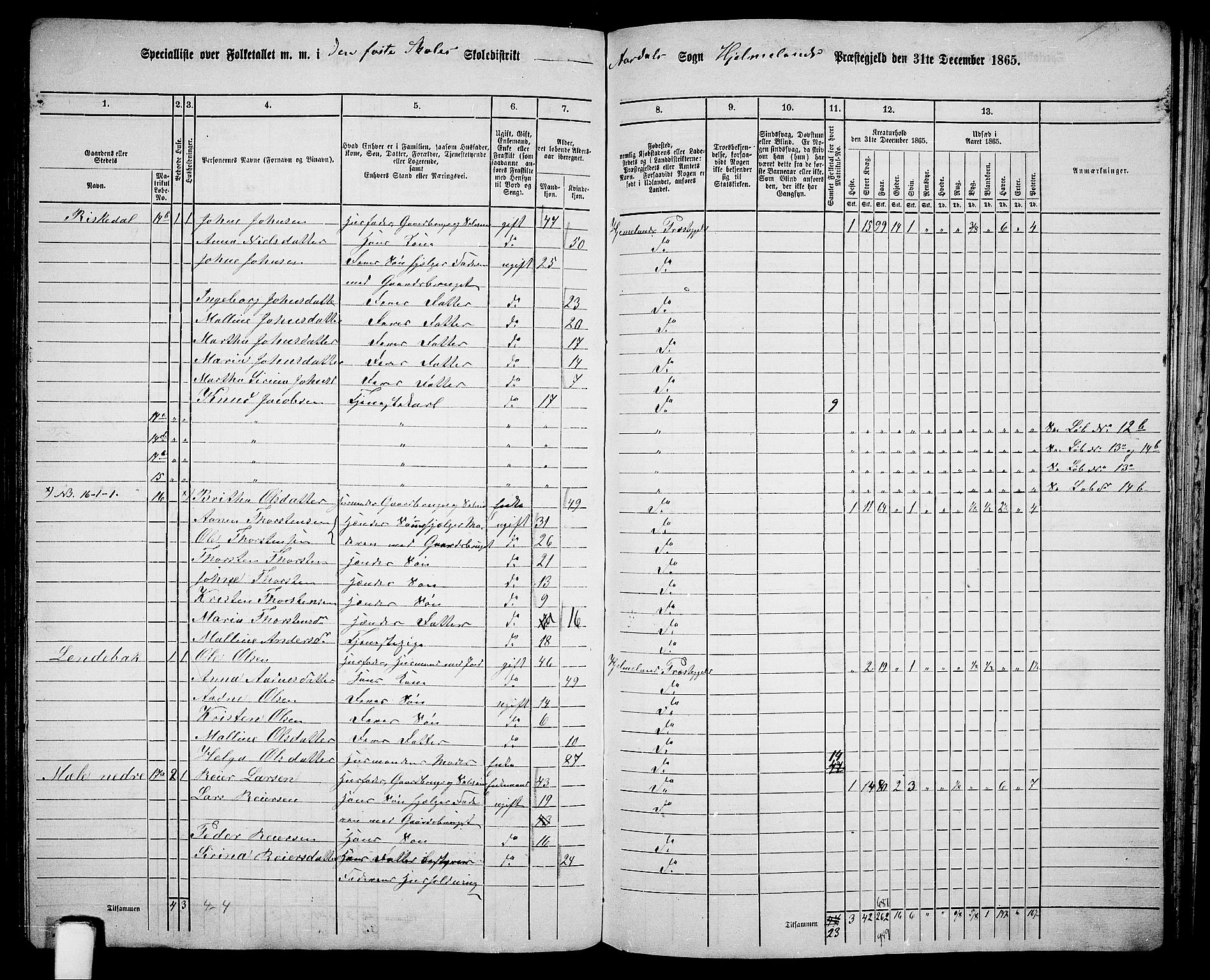 RA, Folketelling 1865 for 1133P Hjelmeland prestegjeld, 1865, s. 153