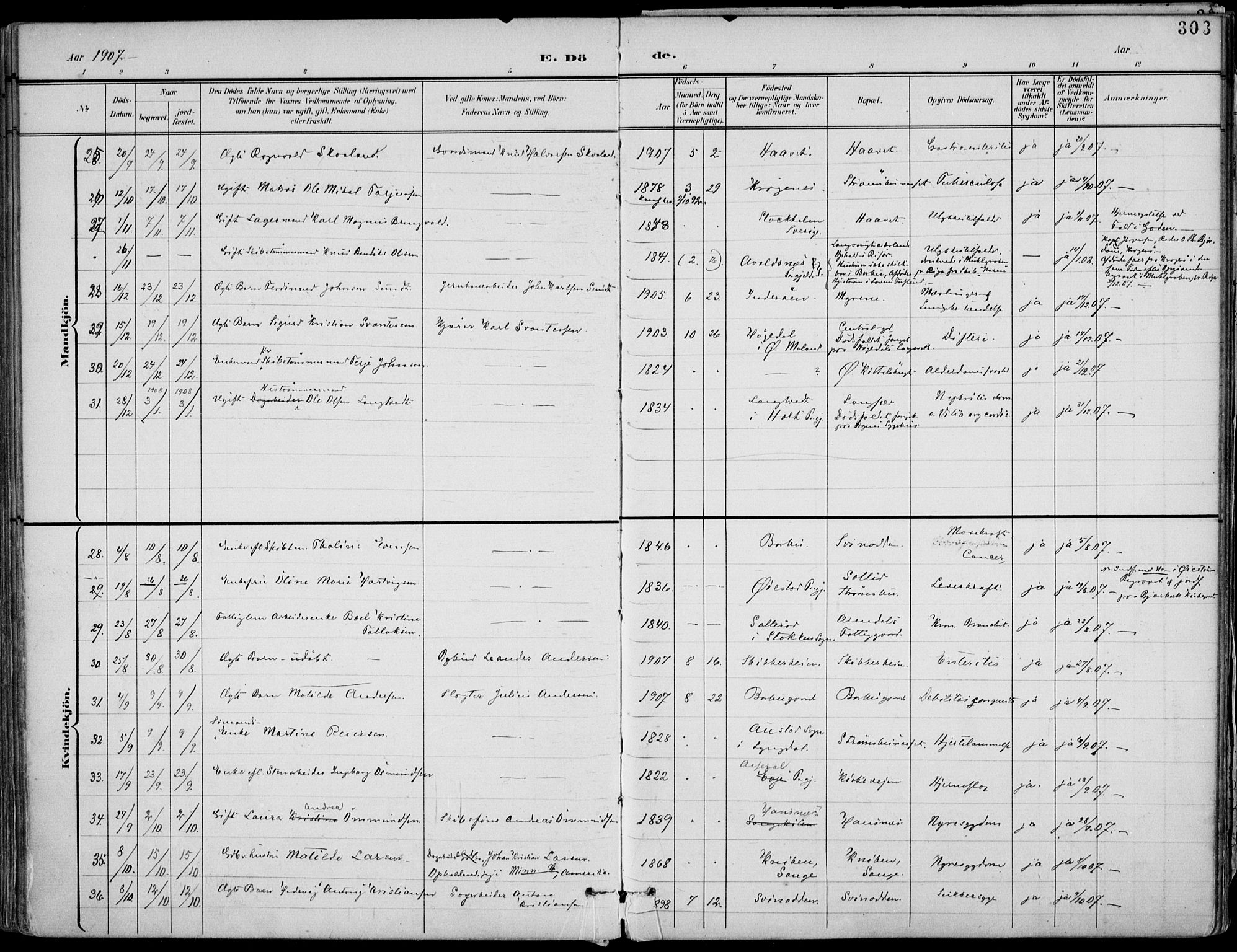 Barbu sokneprestkontor, AV/SAK-1111-0003/F/Fa/L0005: Ministerialbok nr. A 5, 1899-1909, s. 303